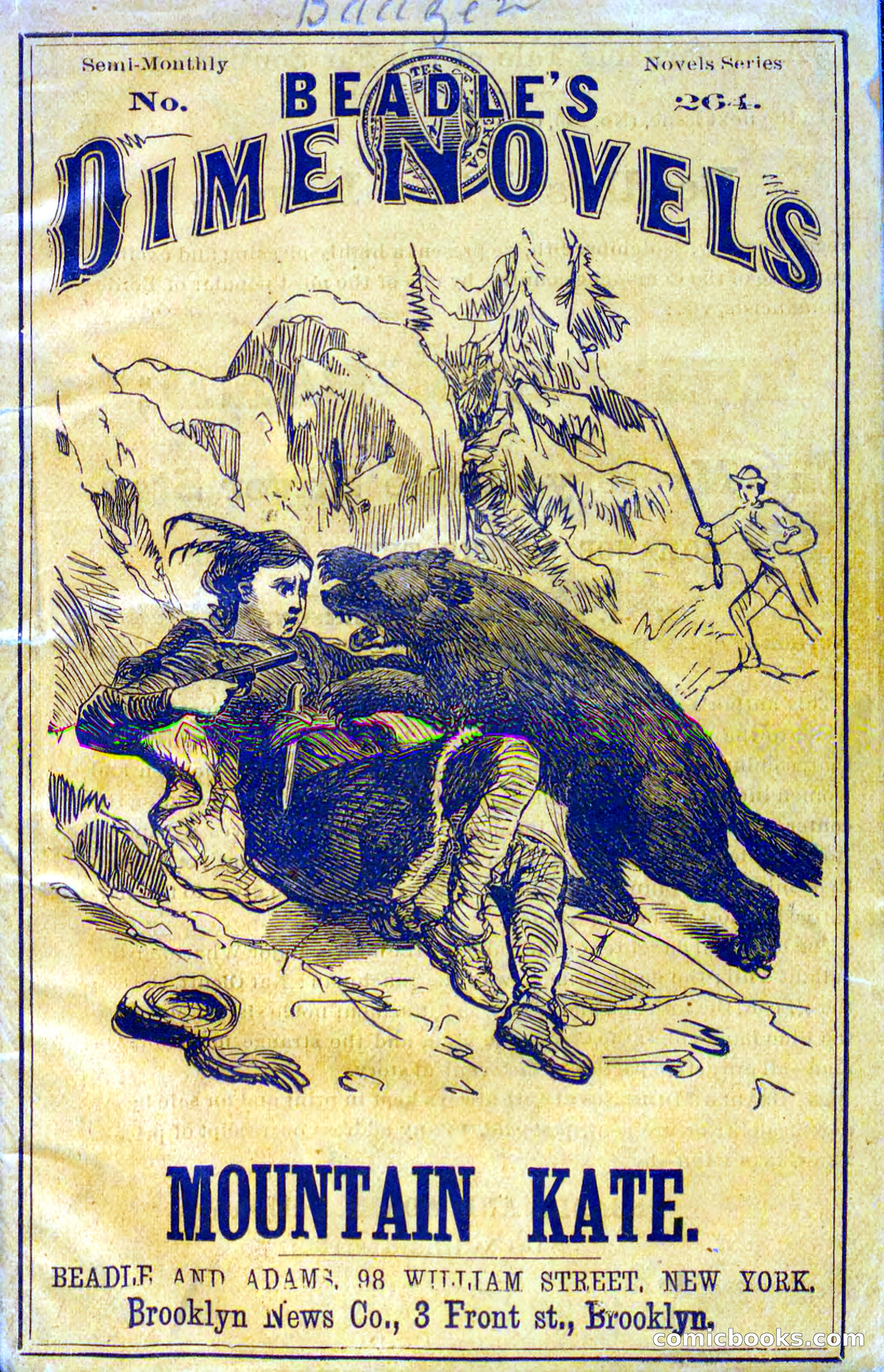 Beadle's Dime Novels No. 264: Mountain Kate