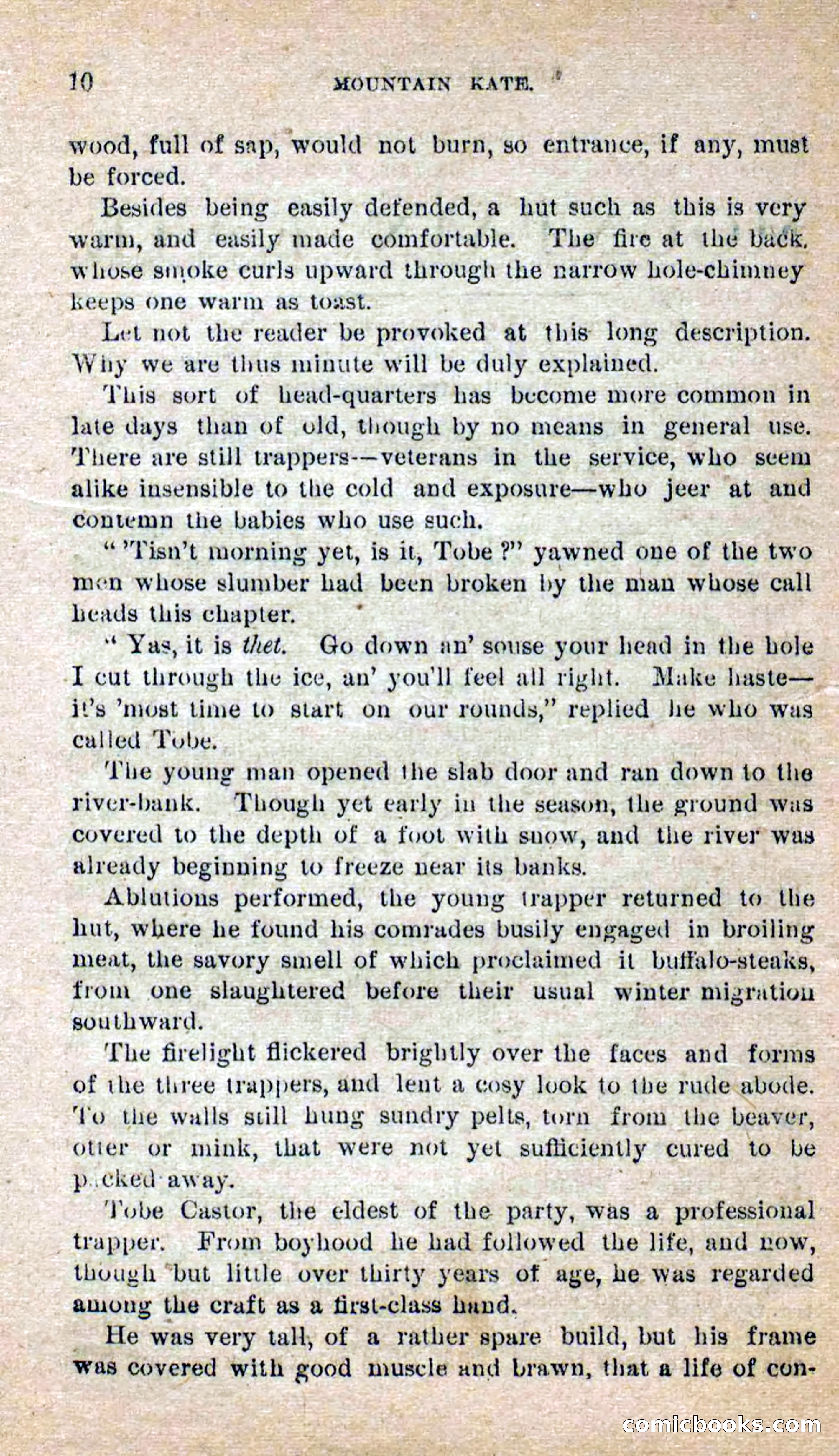 Beadle's Dime Novels No. 264: Mountain Kate — page 6 of 100