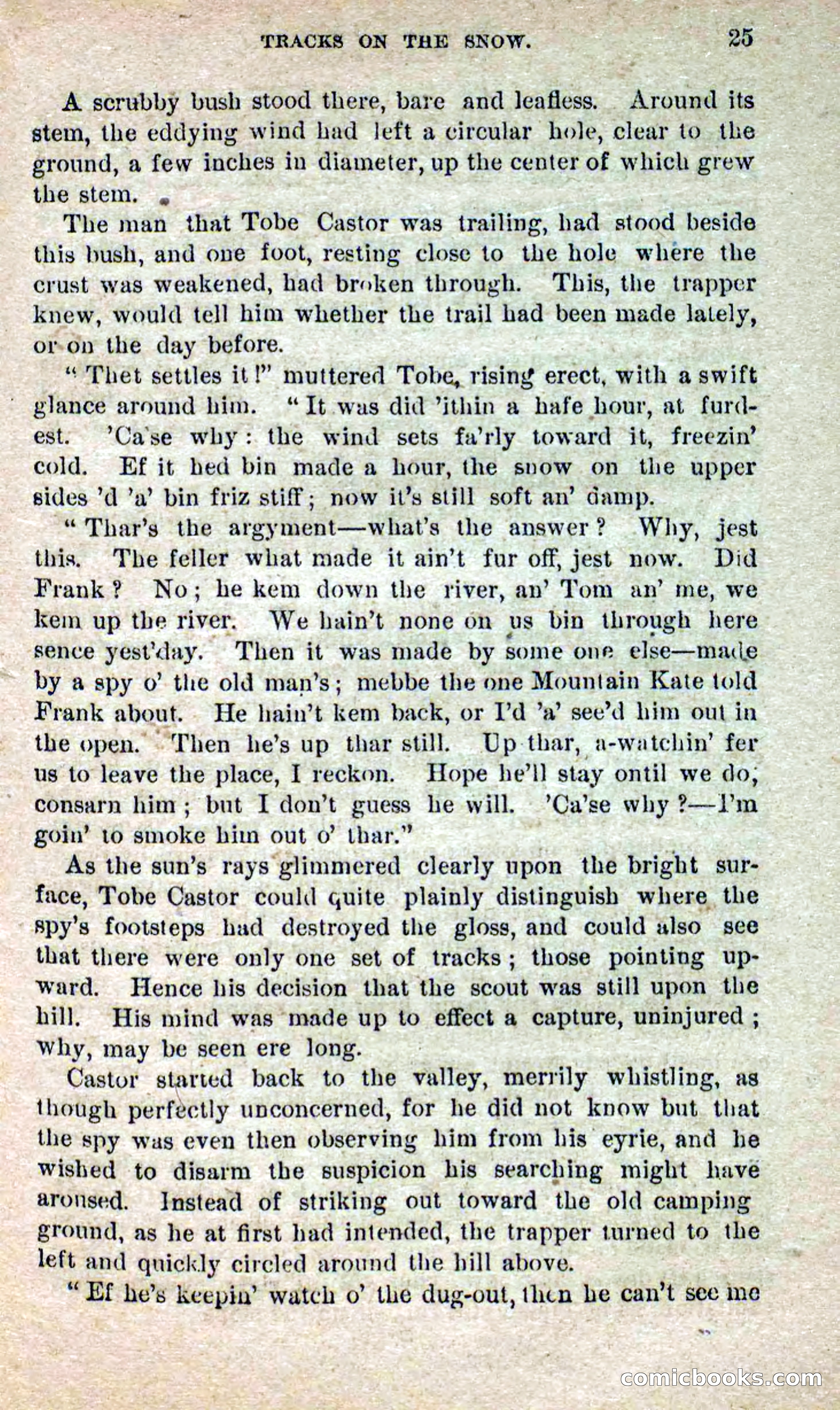 Beadle's Dime Novels No. 264: Mountain Kate — page 21 of 100