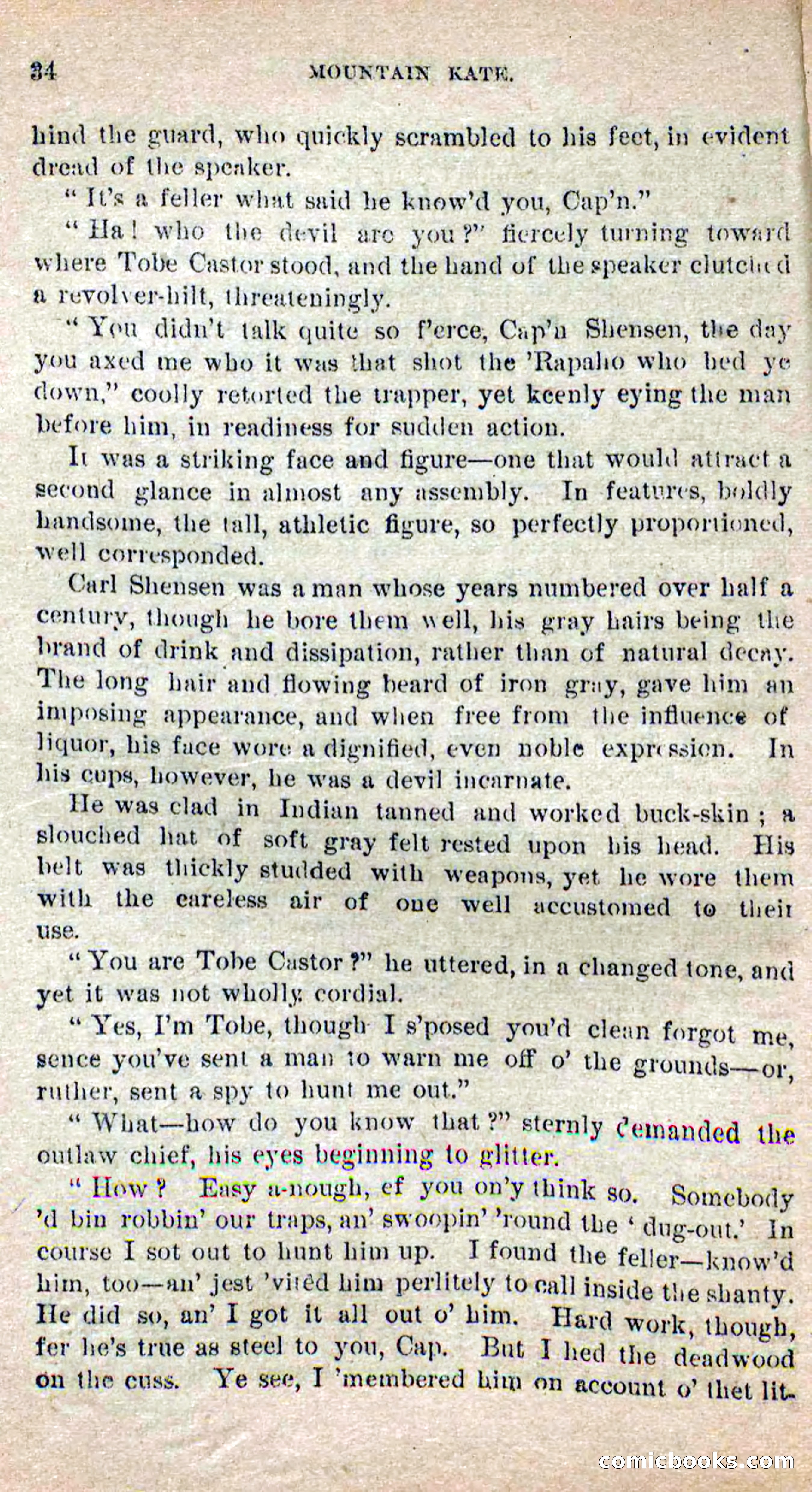 Beadle's Dime Novels No. 264: Mountain Kate — page 30 of 100