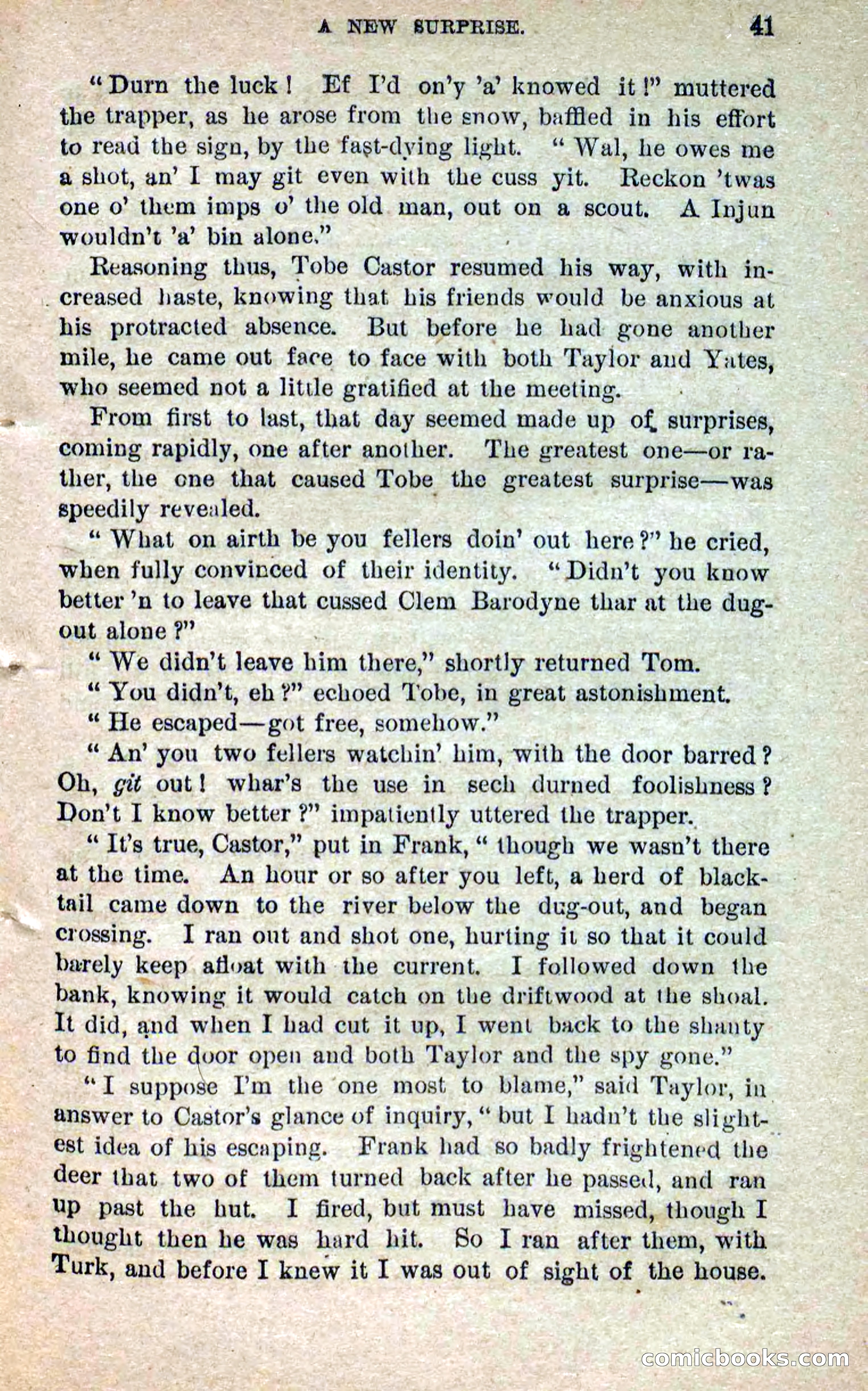 Beadle's Dime Novels No. 264: Mountain Kate — page 37 of 100