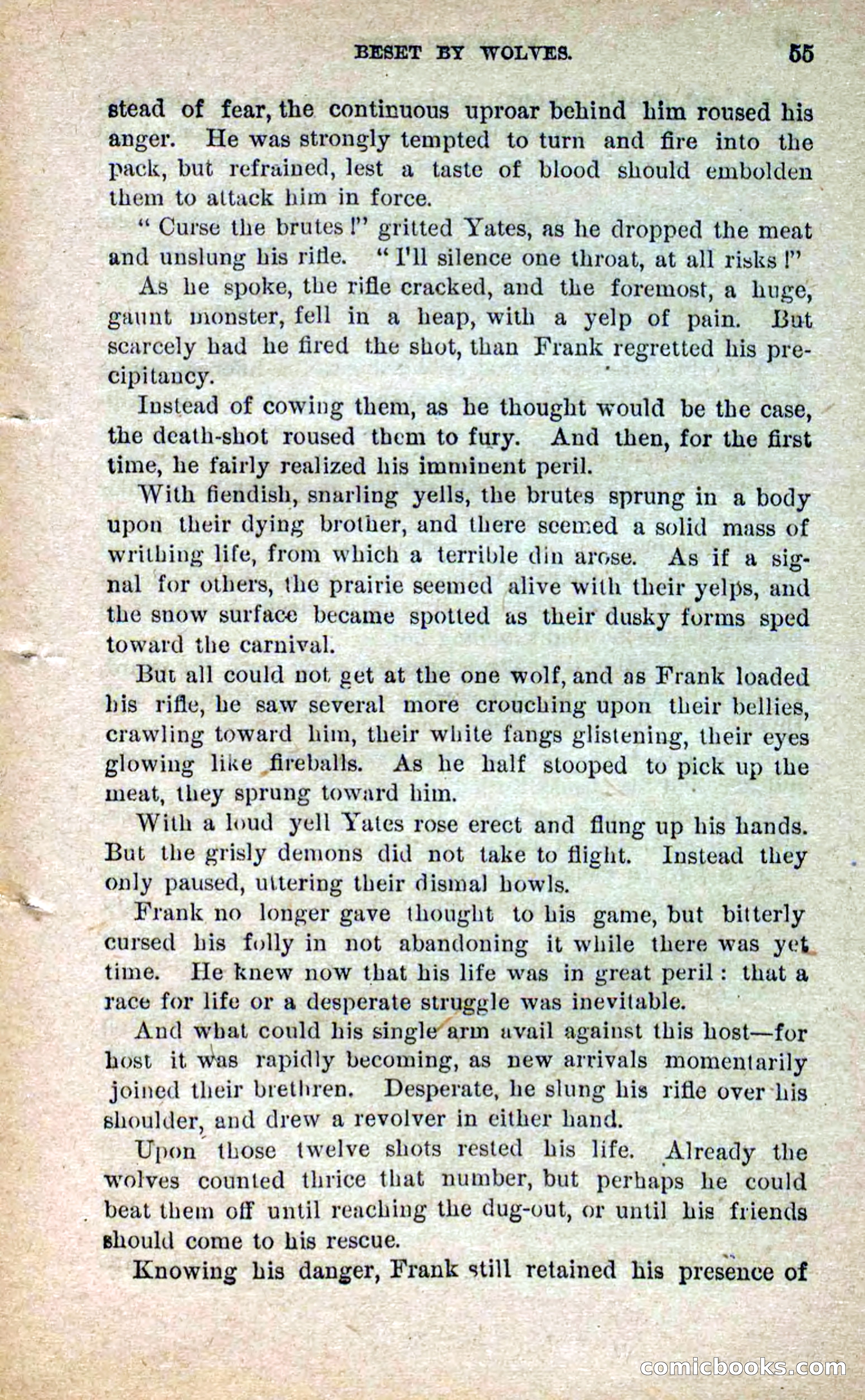 Beadle's Dime Novels No. 264: Mountain Kate — page 51 of 100