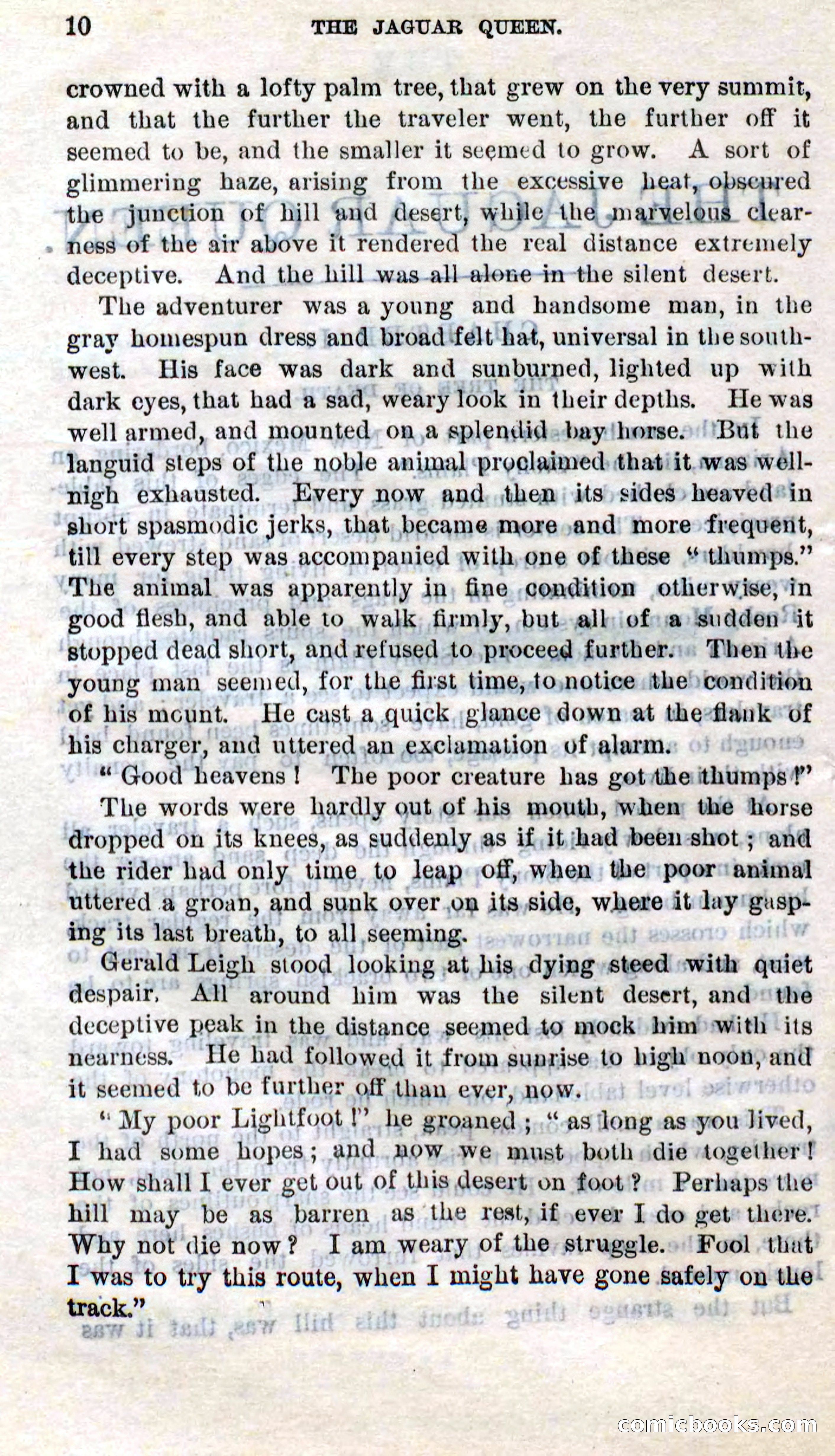 The Jaguar Queen — page 6 of 100
