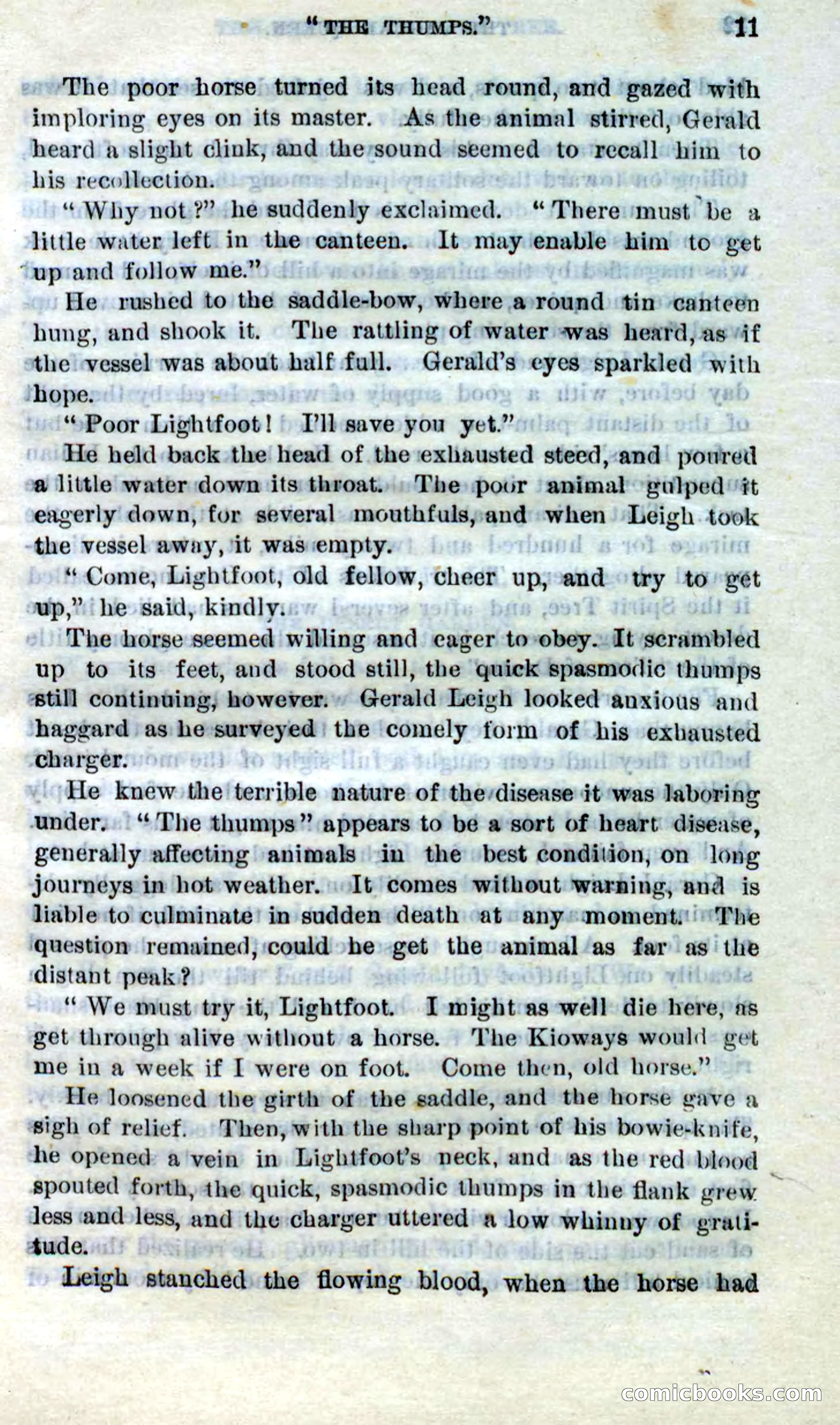 The Jaguar Queen — page 7 of 100