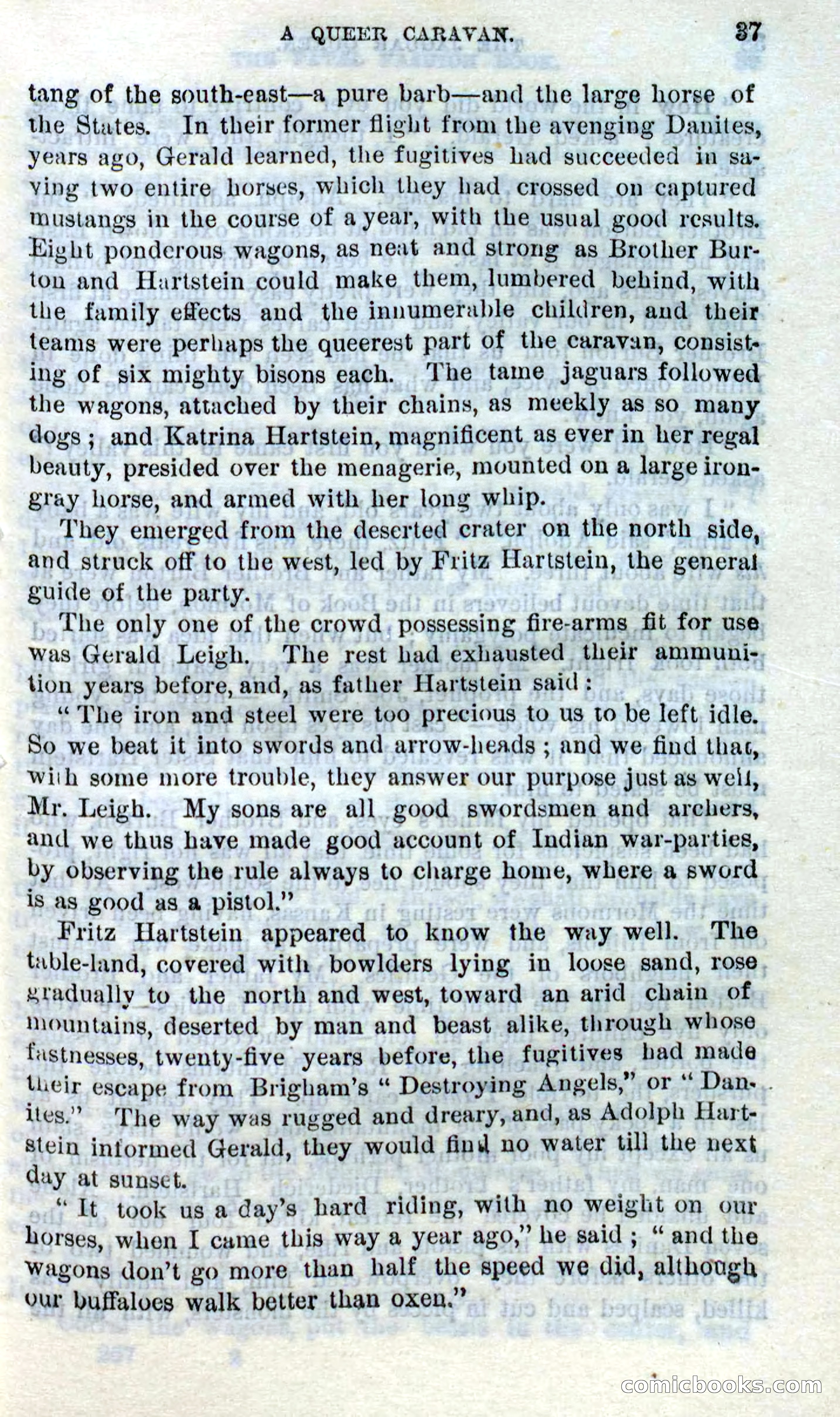 The Jaguar Queen — page 33 of 100