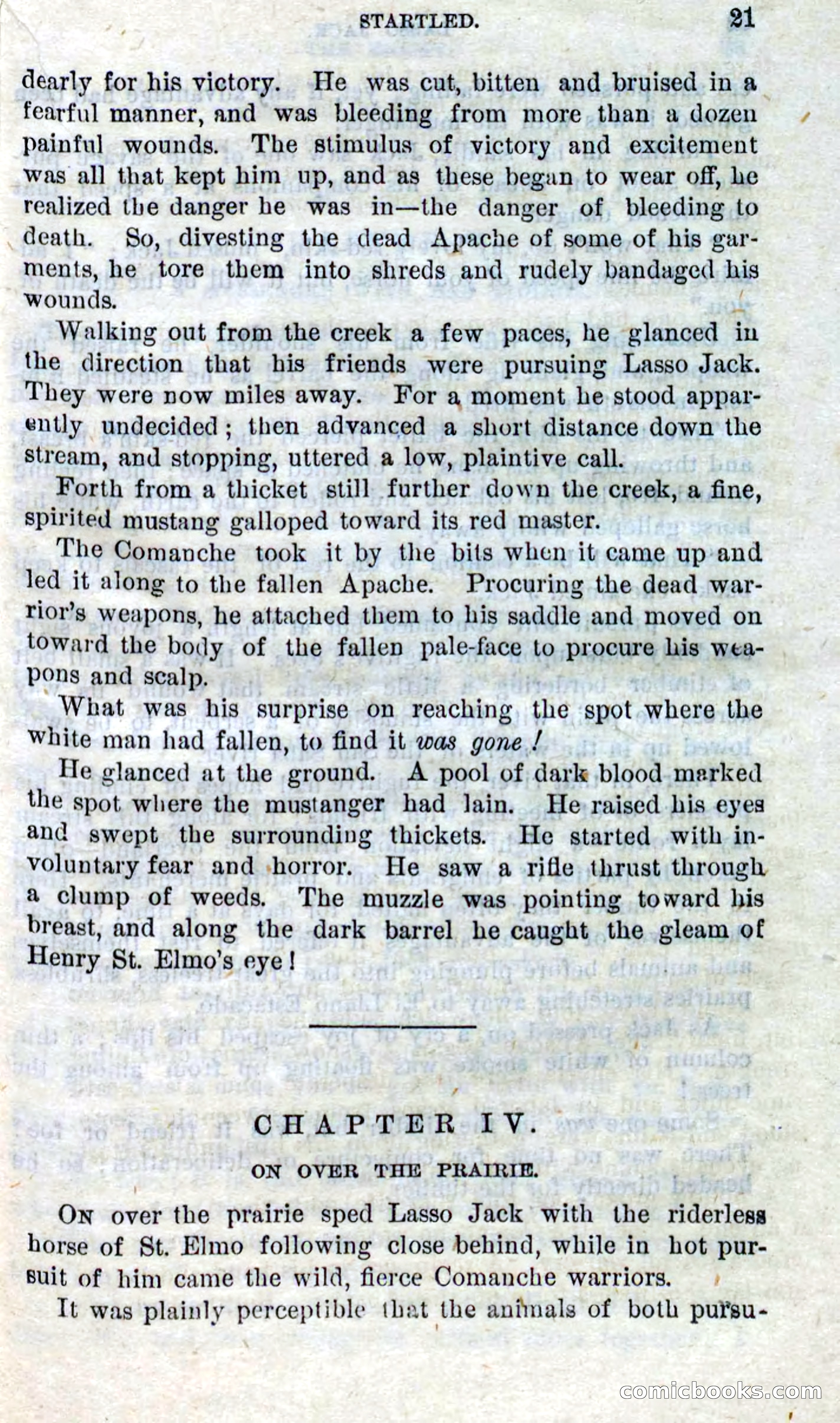Beadle's Dime Novels No. 269: The Young Mustanger — page 17 of 82