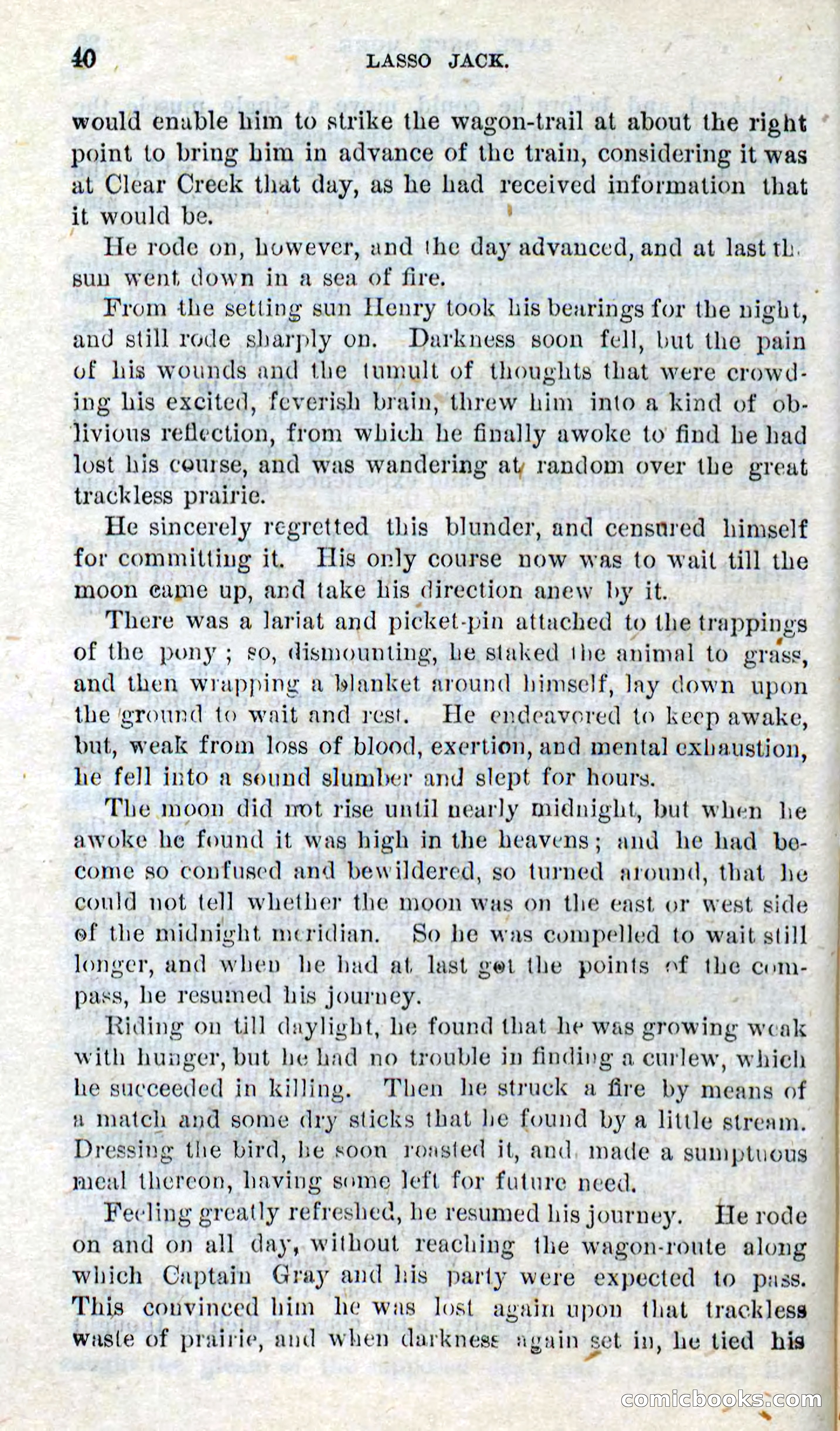 Beadle's Dime Novels No. 269: The Young Mustanger — page 36 of 82