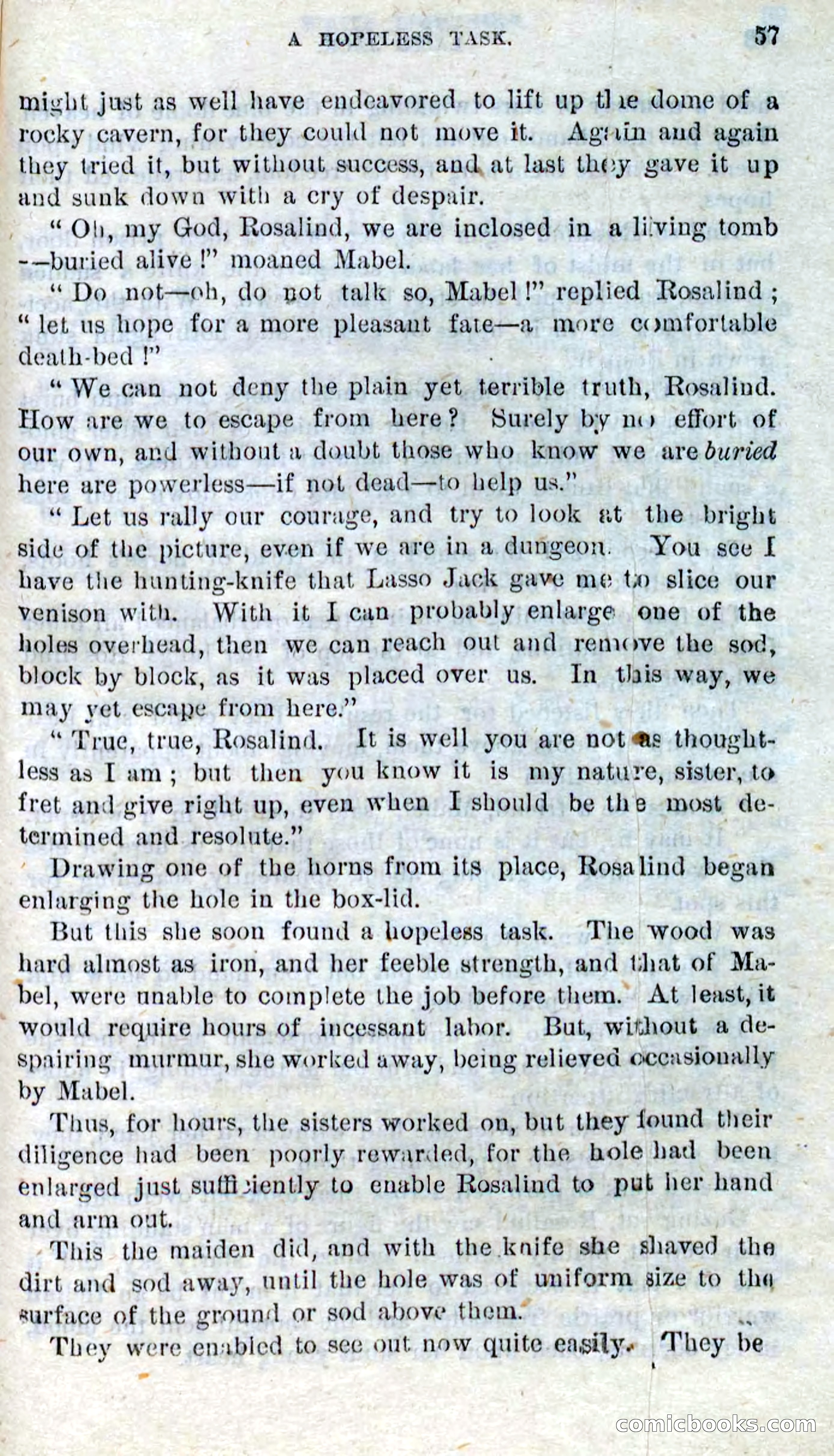 Beadle's Dime Novels No. 269: The Young Mustanger — page 53 of 82