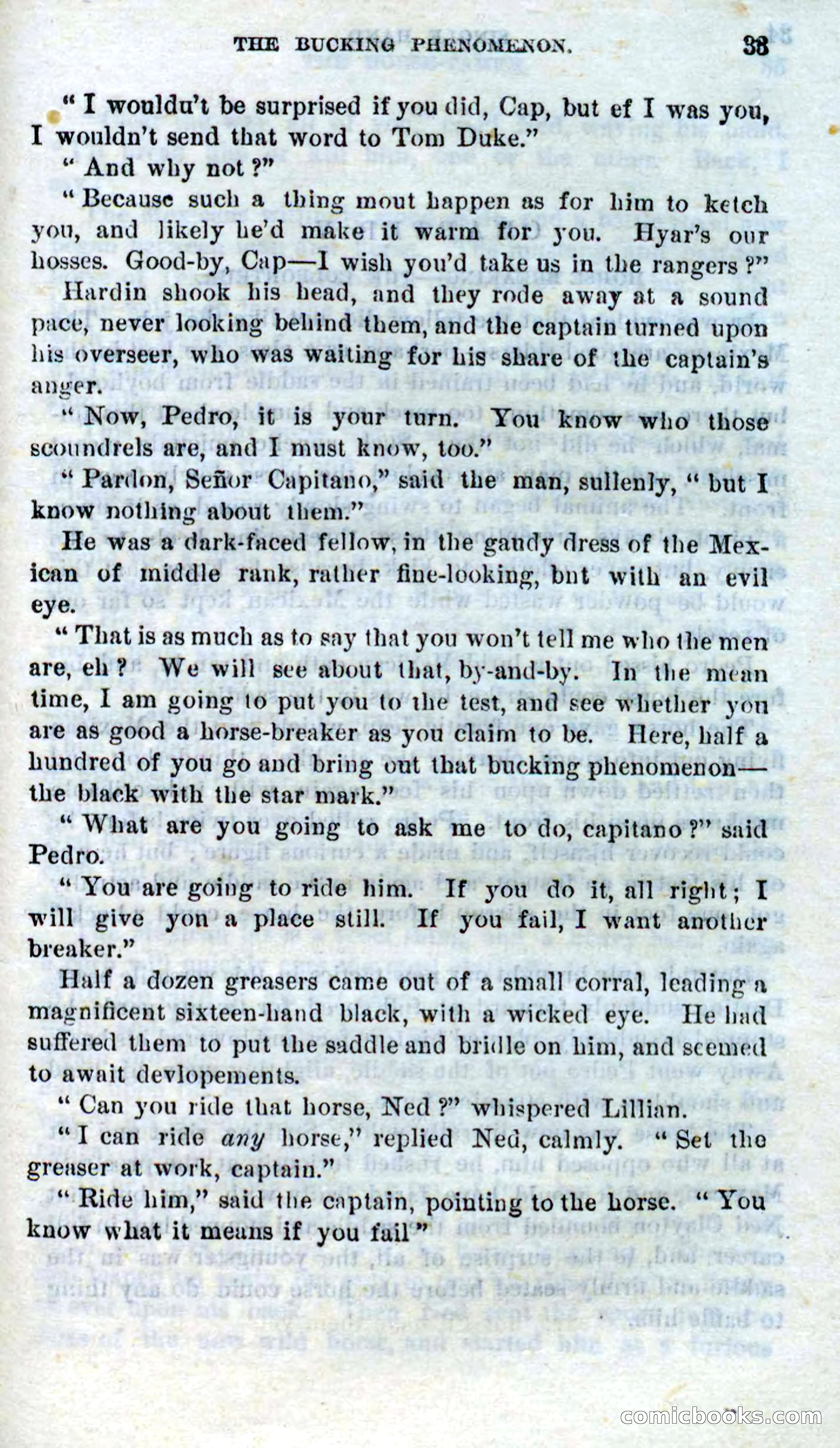 Beadle's Dime Novels No. 272: Single Hand — page 31 of 100
