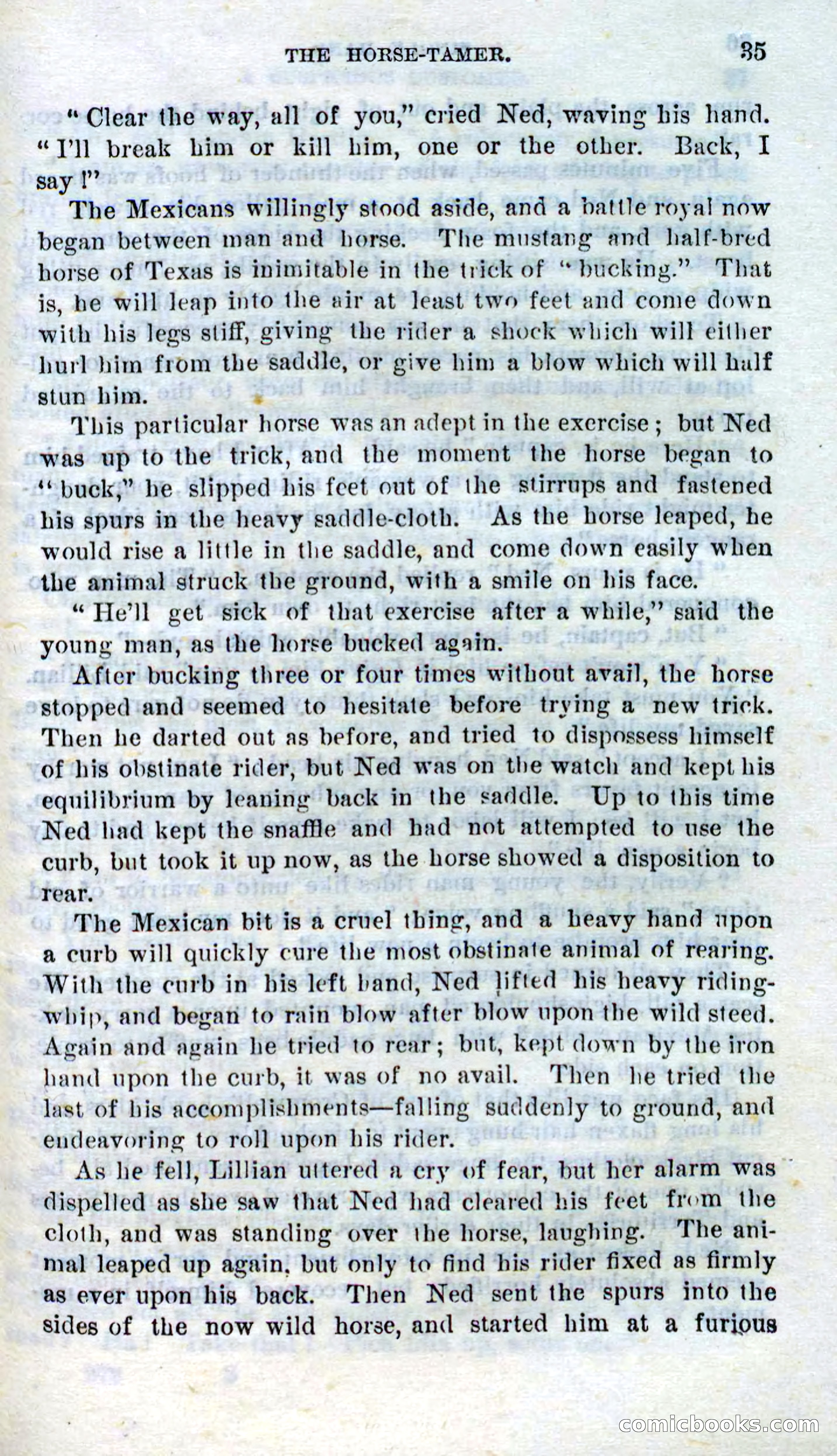 Beadle's Dime Novels No. 272: Single Hand — page 33 of 100