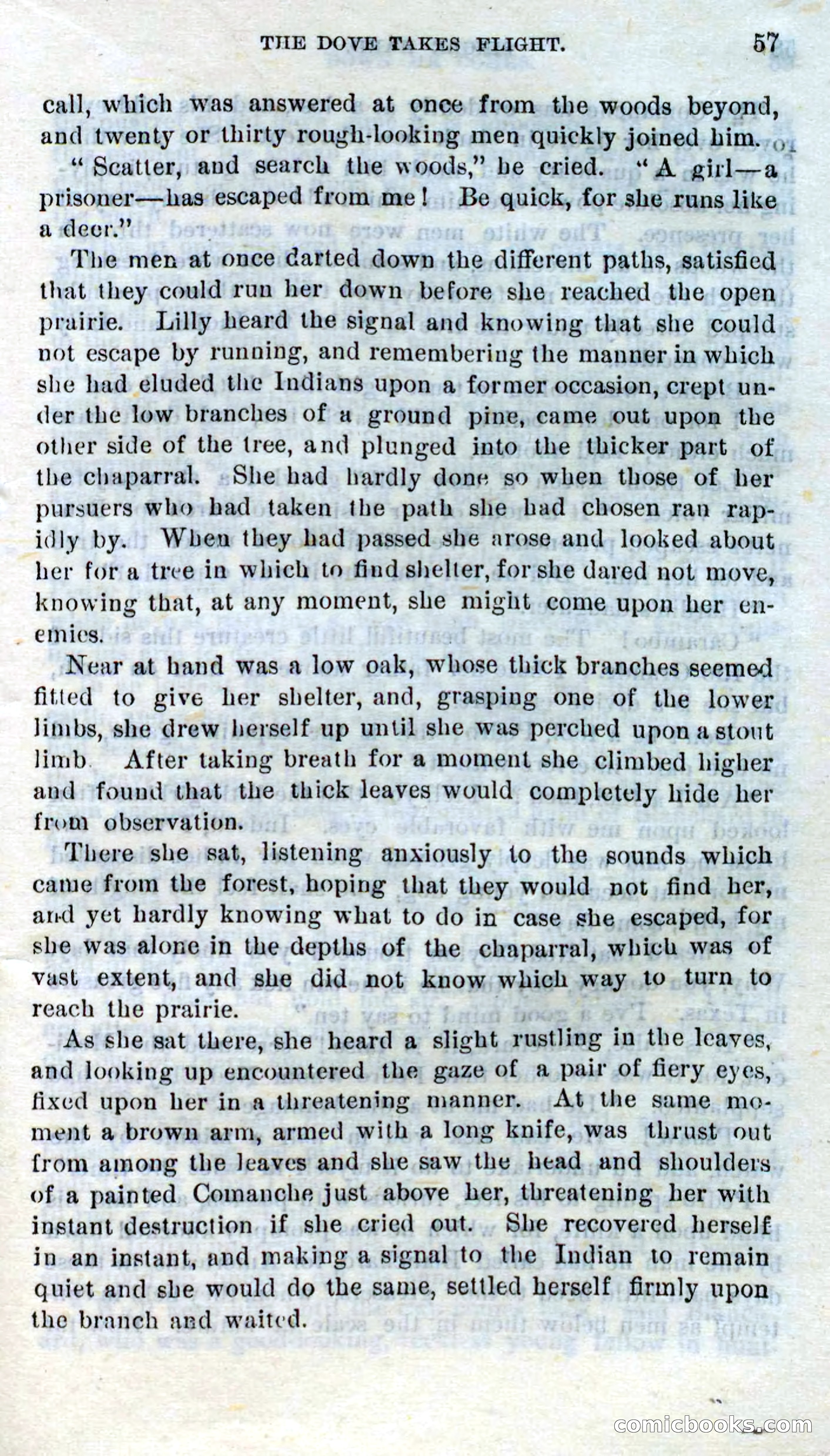 Beadle's Dime Novels No. 272: Single Hand — page 55 of 100