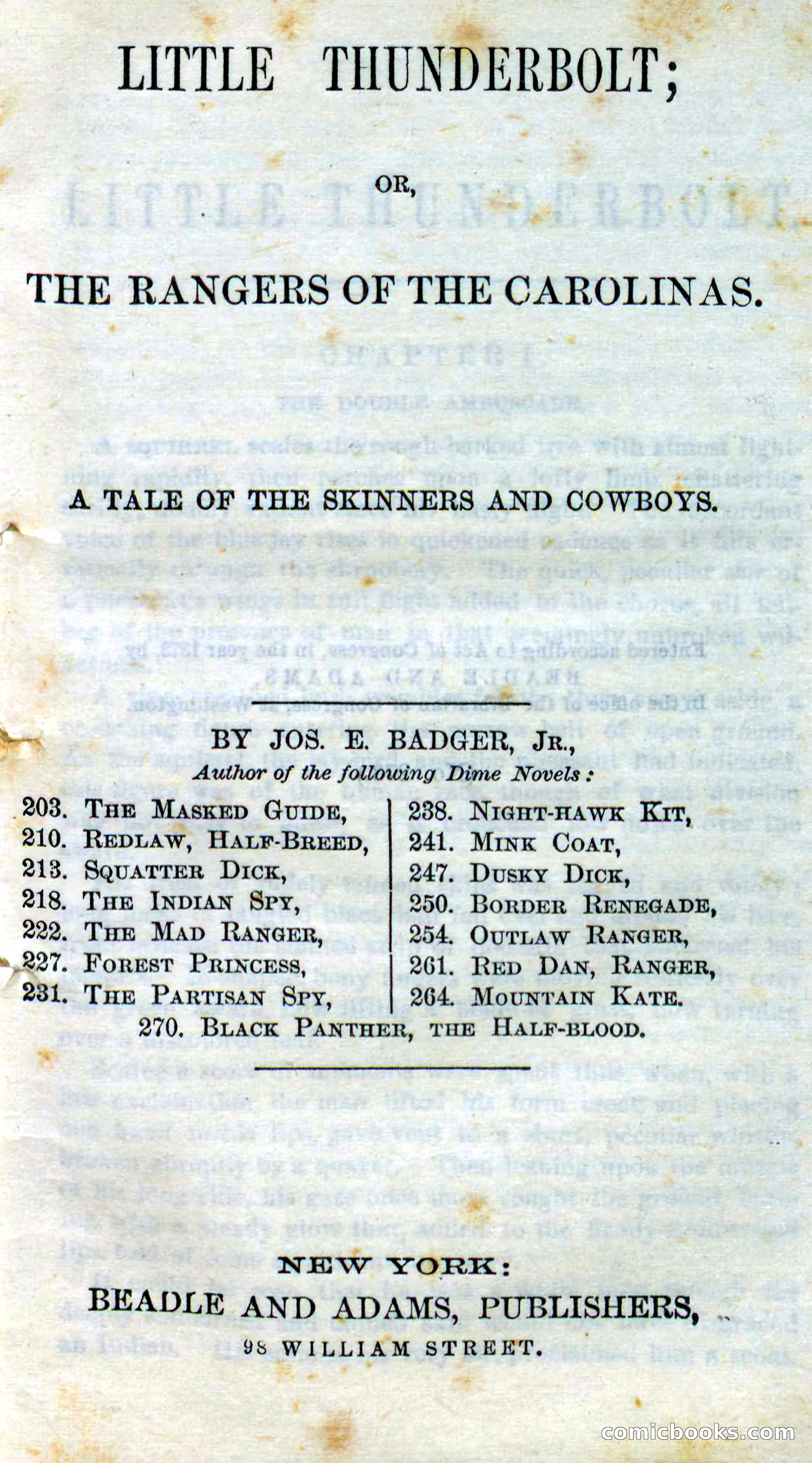 Beadle's Dime Novels No. 273: Little Thunderbolt — page 5 of 100