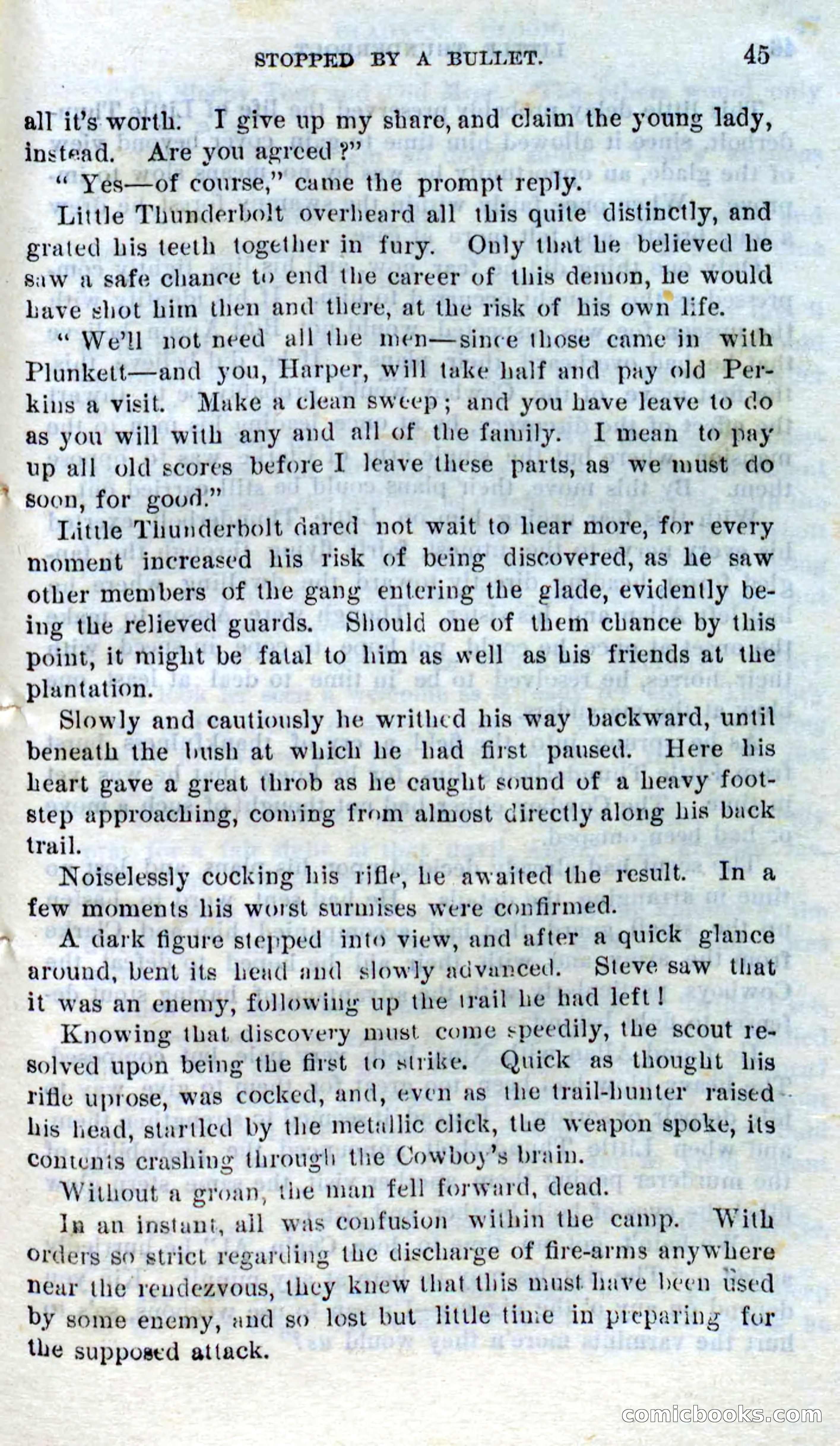 Beadle's Dime Novels No. 273: Little Thunderbolt — page 43 of 100