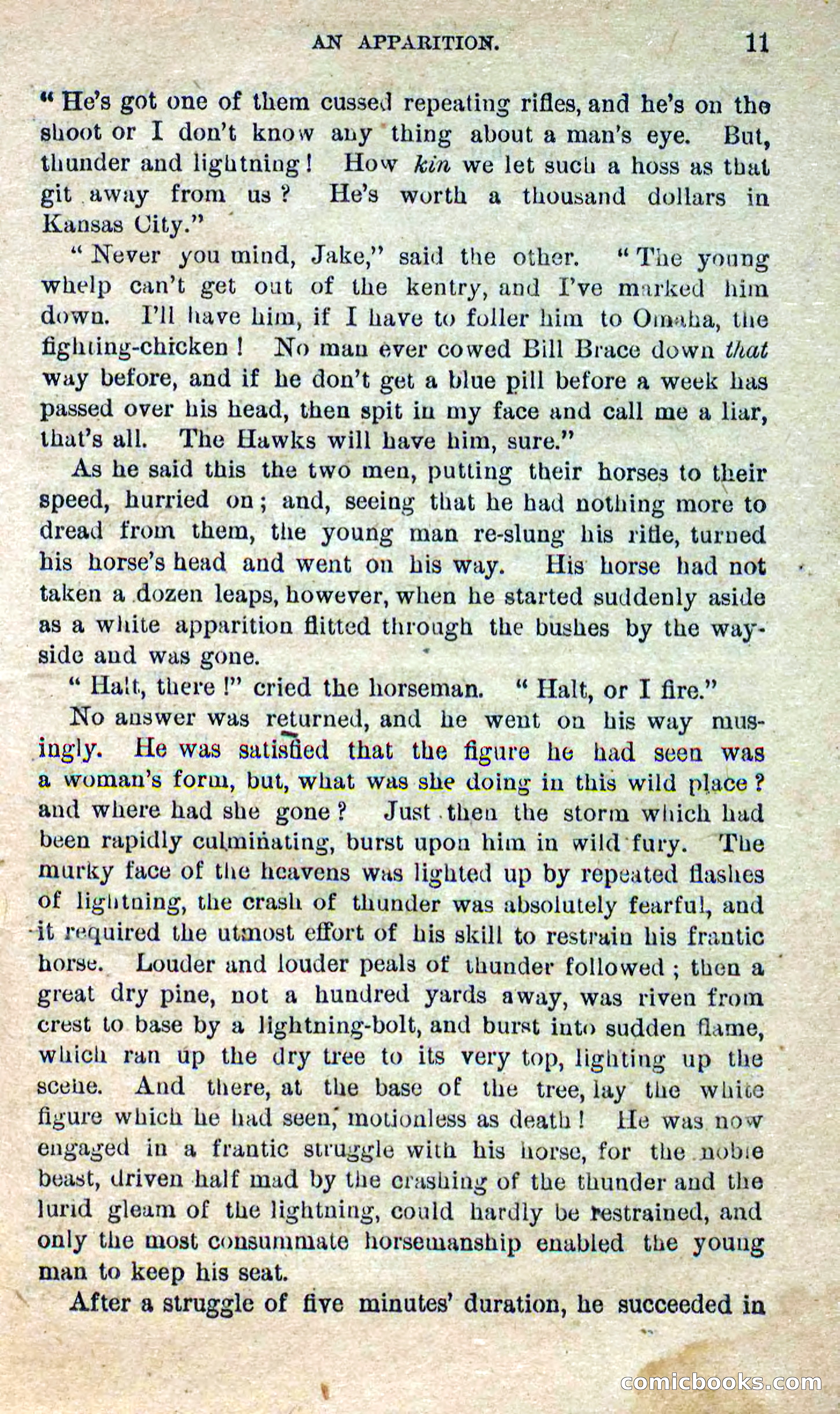 Beadle's Dime Novels No. 280: Border Vengeance — page 9 of 100