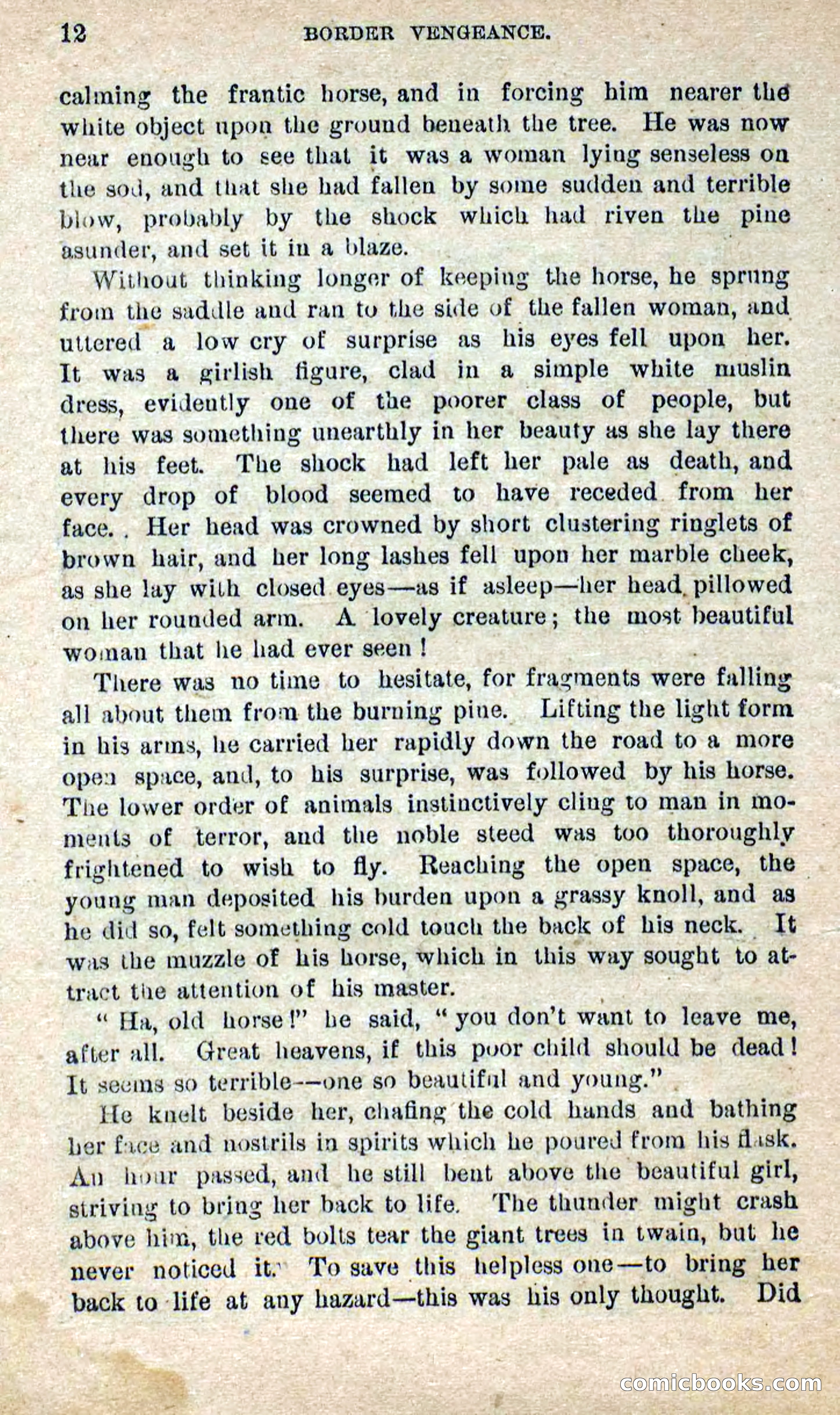 Beadle's Dime Novels No. 280: Border Vengeance — page 10 of 100