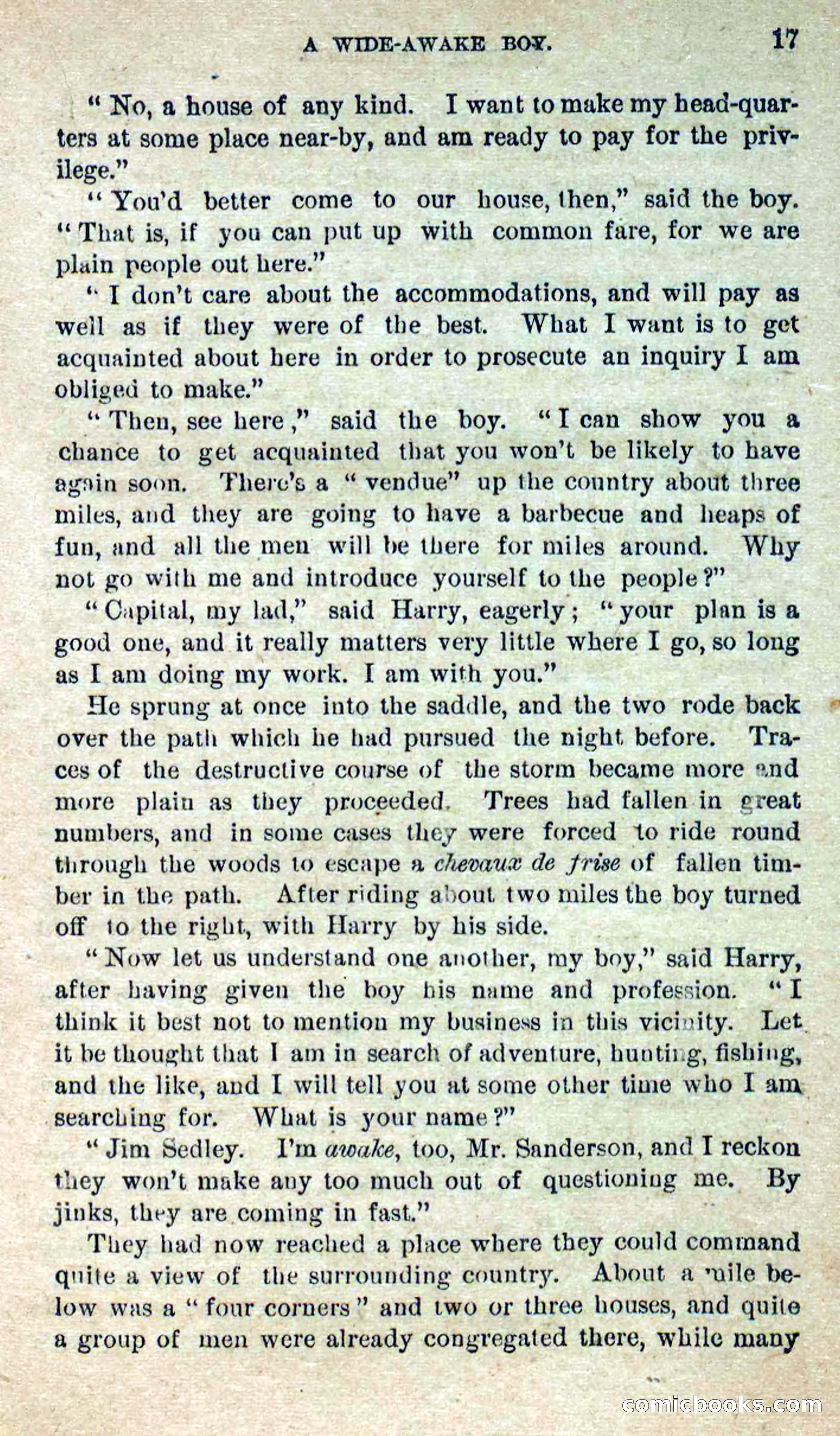 Beadle's Dime Novels No. 280: Border Vengeance — page 15 of 100