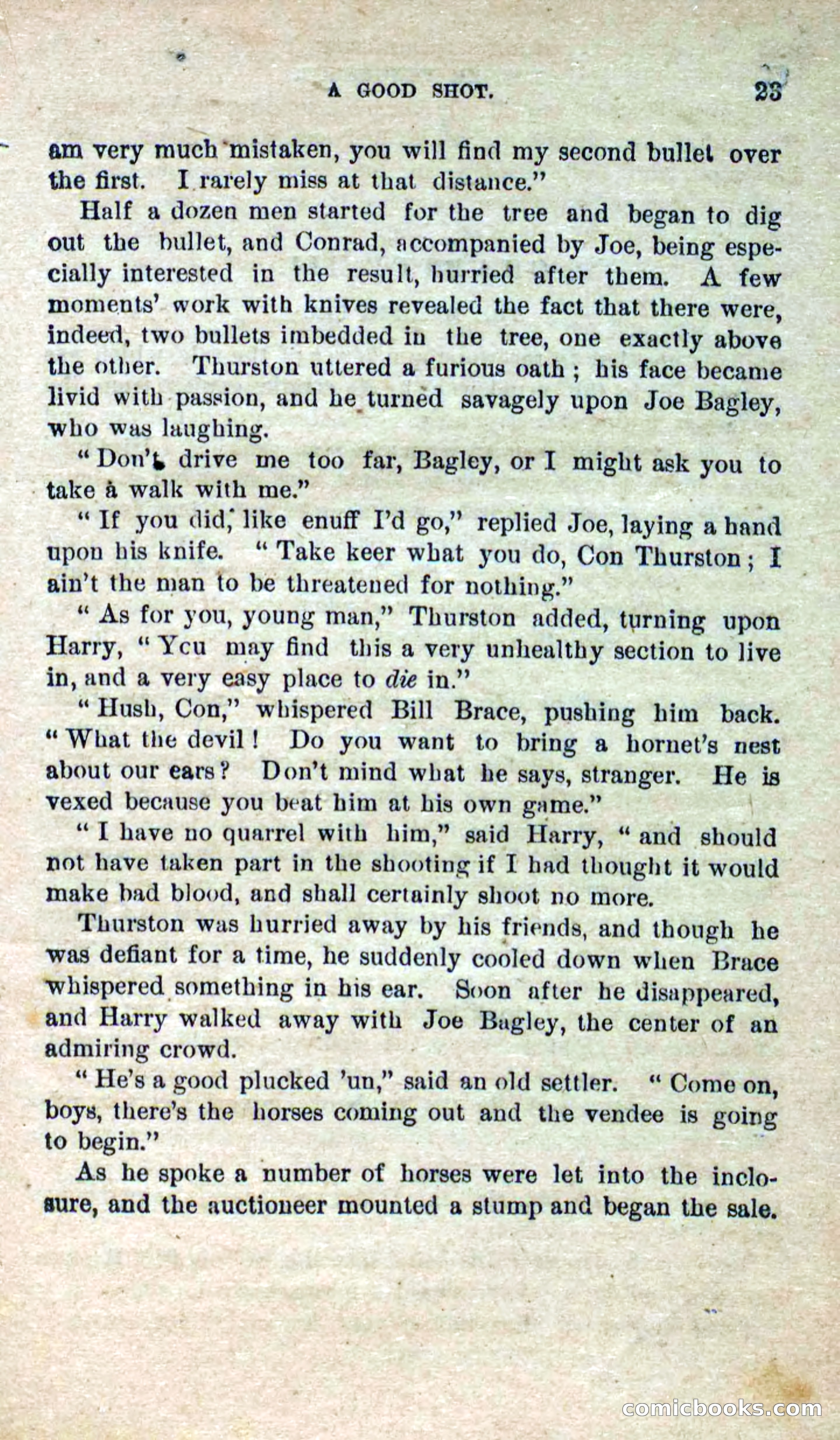 Beadle's Dime Novels No. 280: Border Vengeance — page 21 of 100