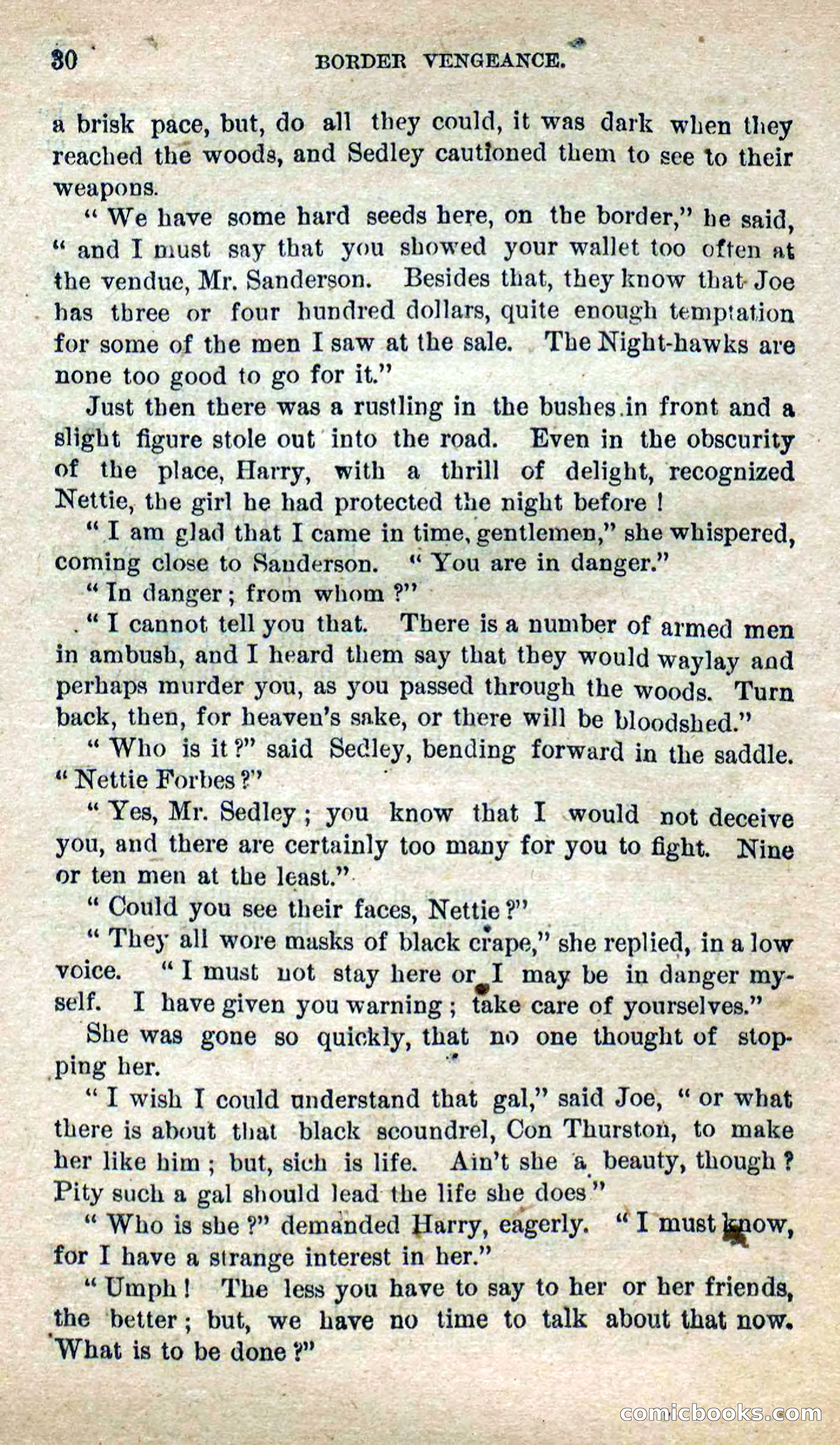 Beadle's Dime Novels No. 280: Border Vengeance — page 28 of 100