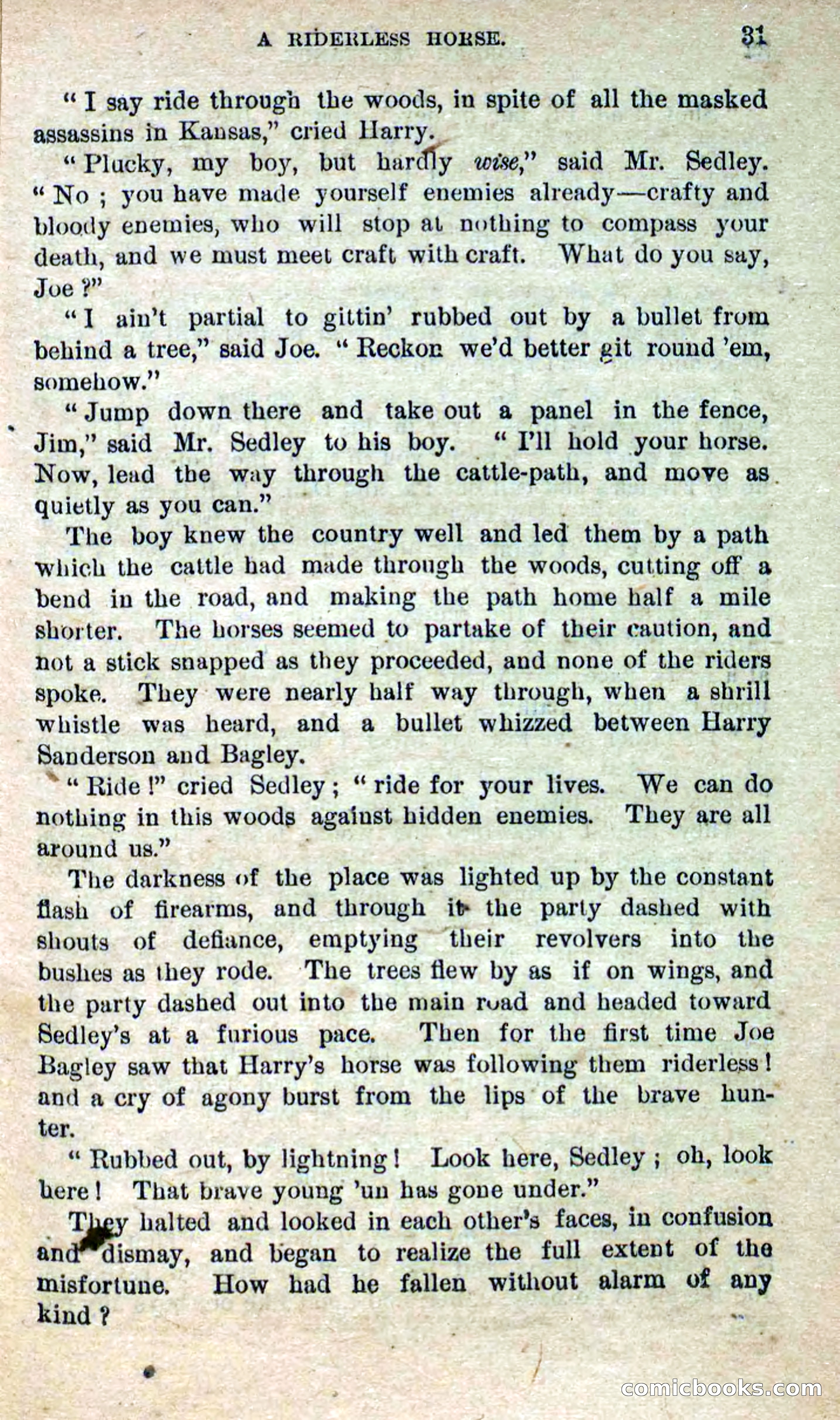 Beadle's Dime Novels No. 280: Border Vengeance — page 29 of 100