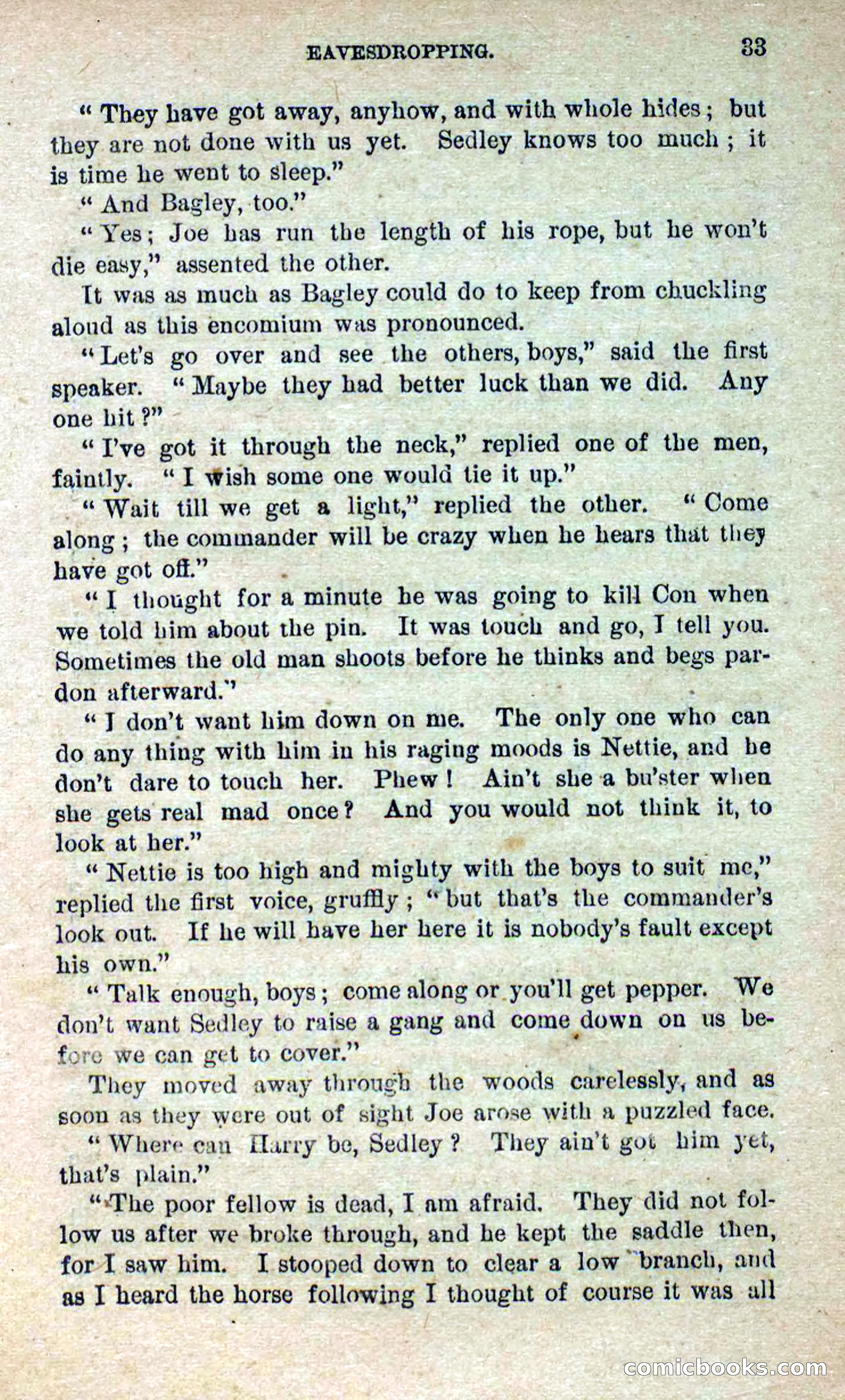 Beadle's Dime Novels No. 280: Border Vengeance — page 31 of 100