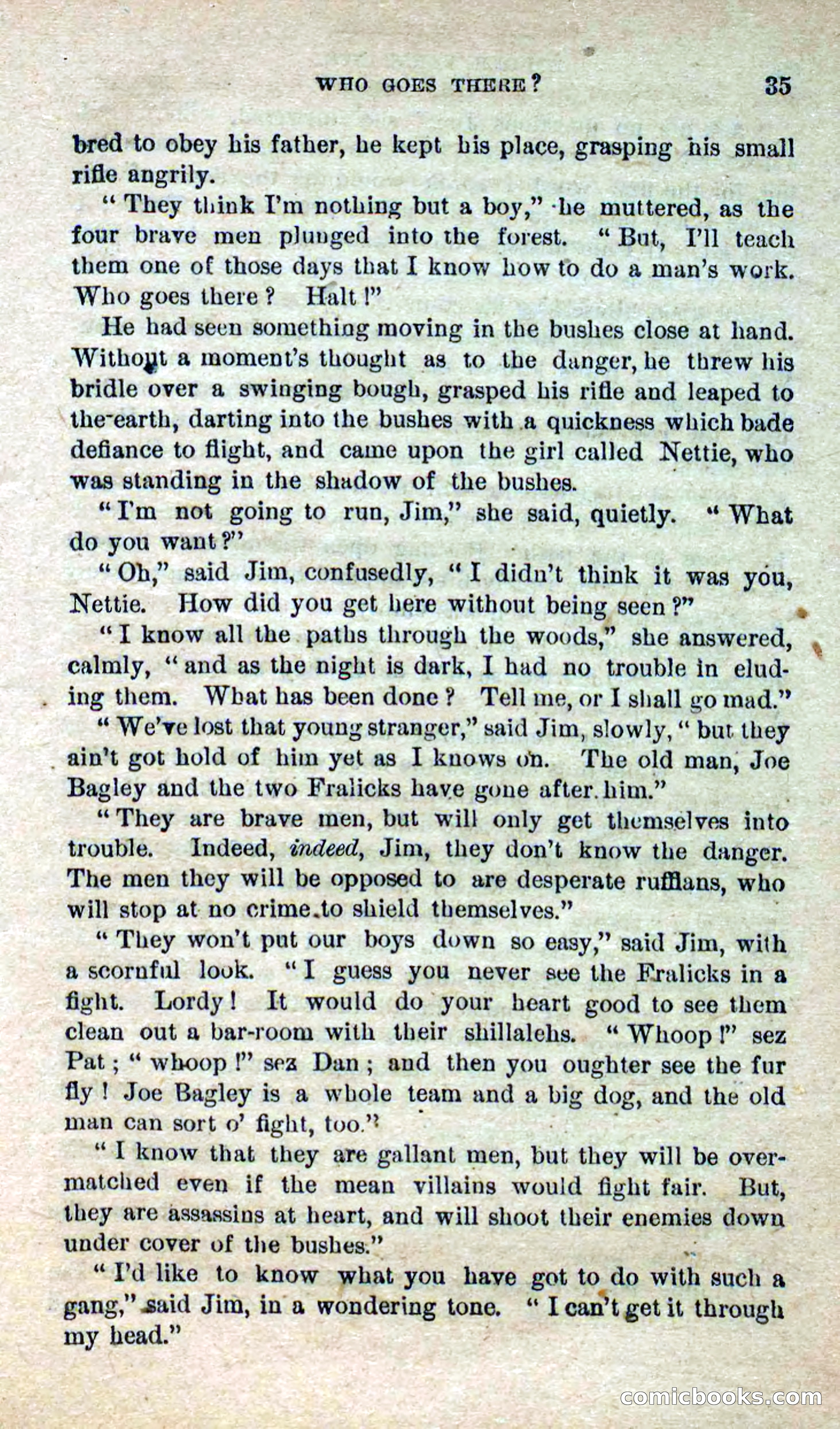 Beadle's Dime Novels No. 280: Border Vengeance — page 33 of 100