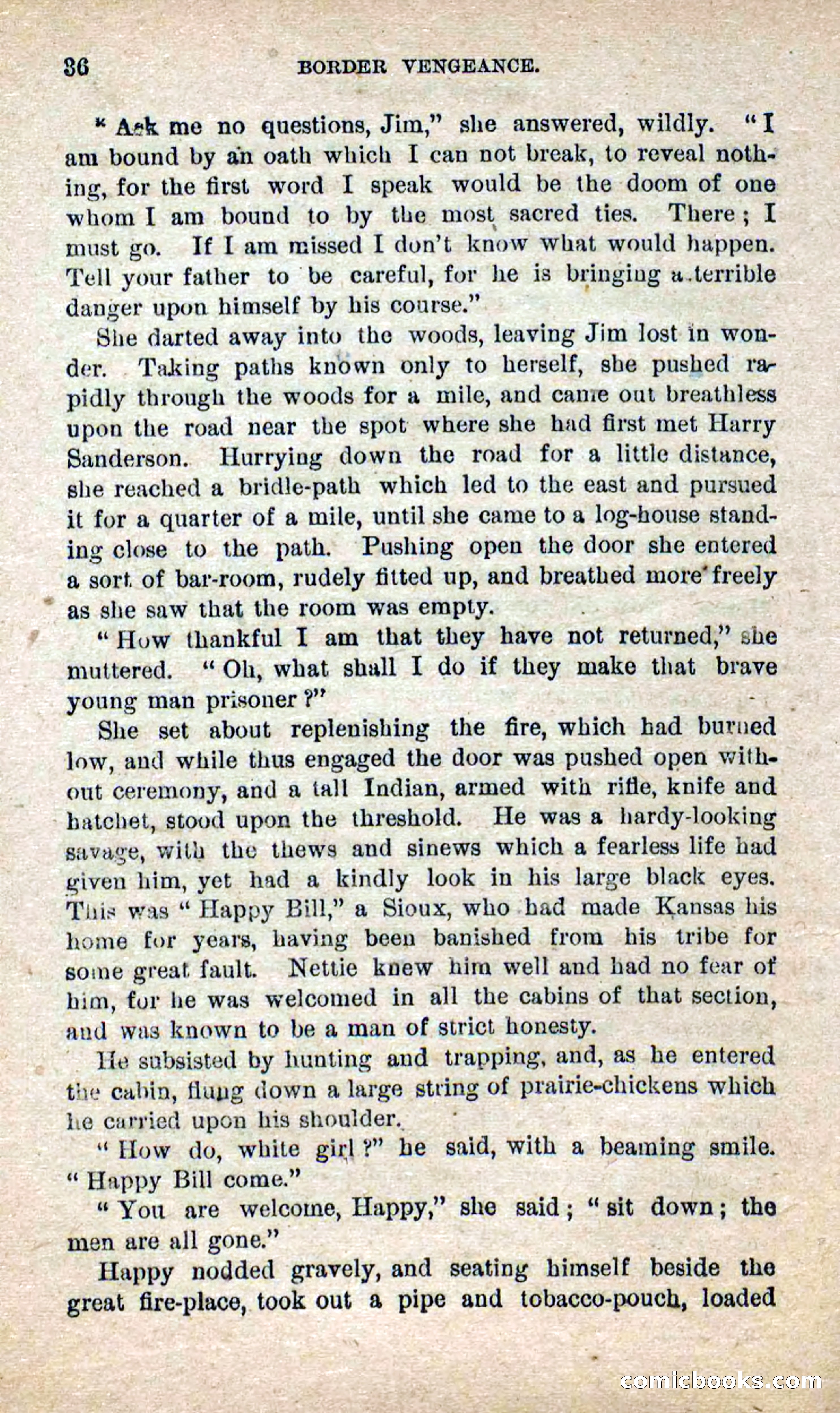 Beadle's Dime Novels No. 280: Border Vengeance — page 34 of 100