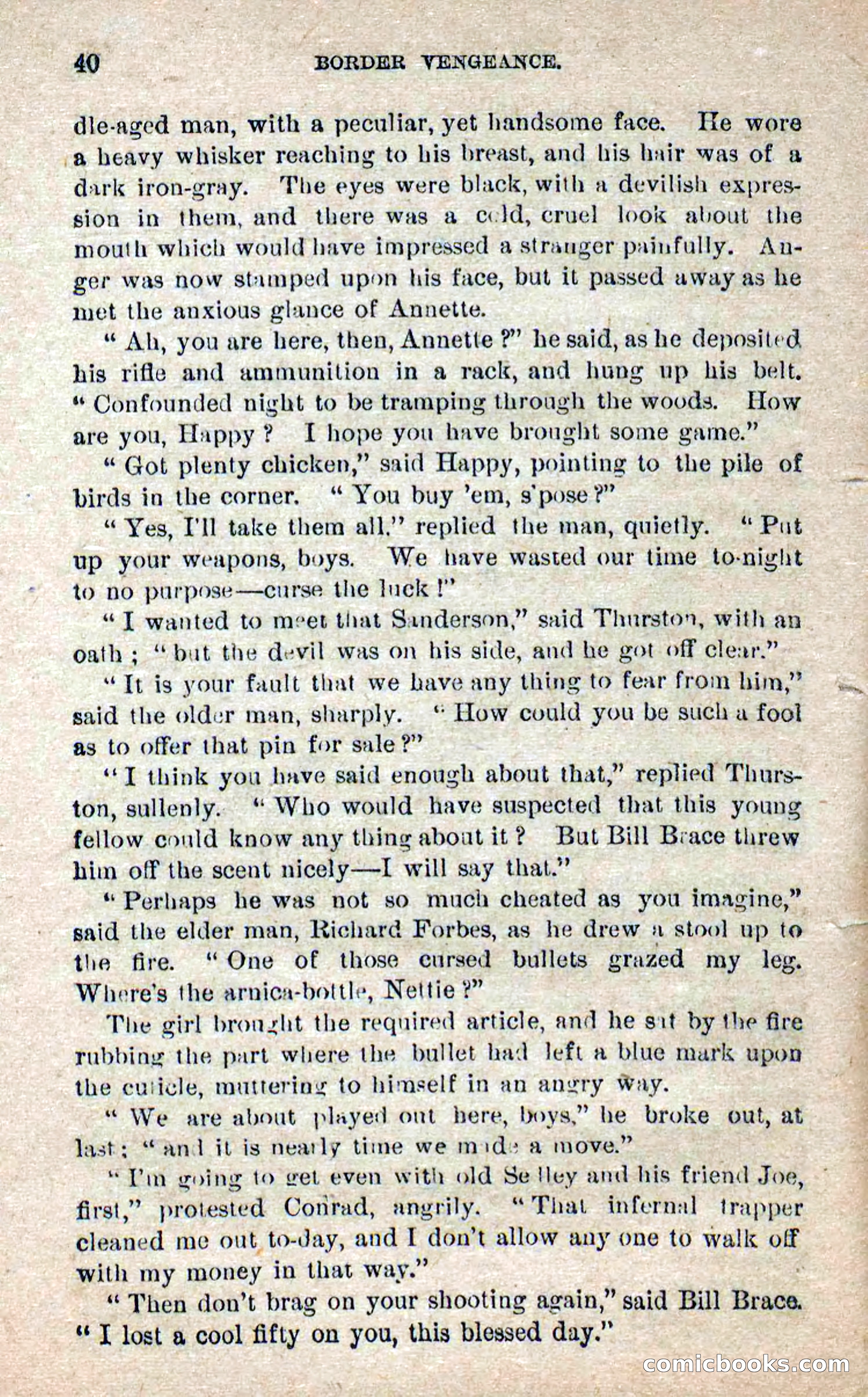Beadle's Dime Novels No. 280: Border Vengeance — page 38 of 100