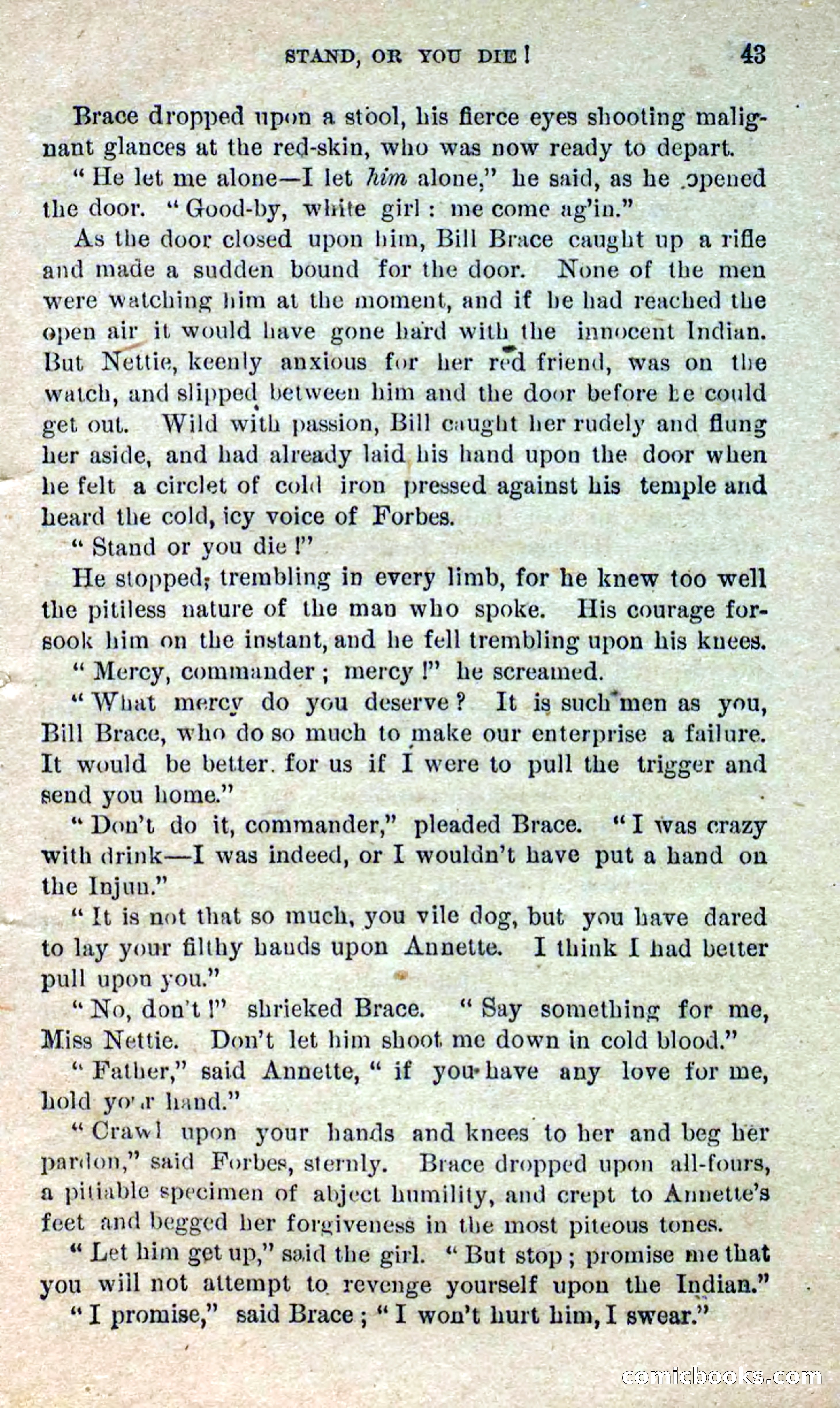 Beadle's Dime Novels No. 280: Border Vengeance — page 41 of 100