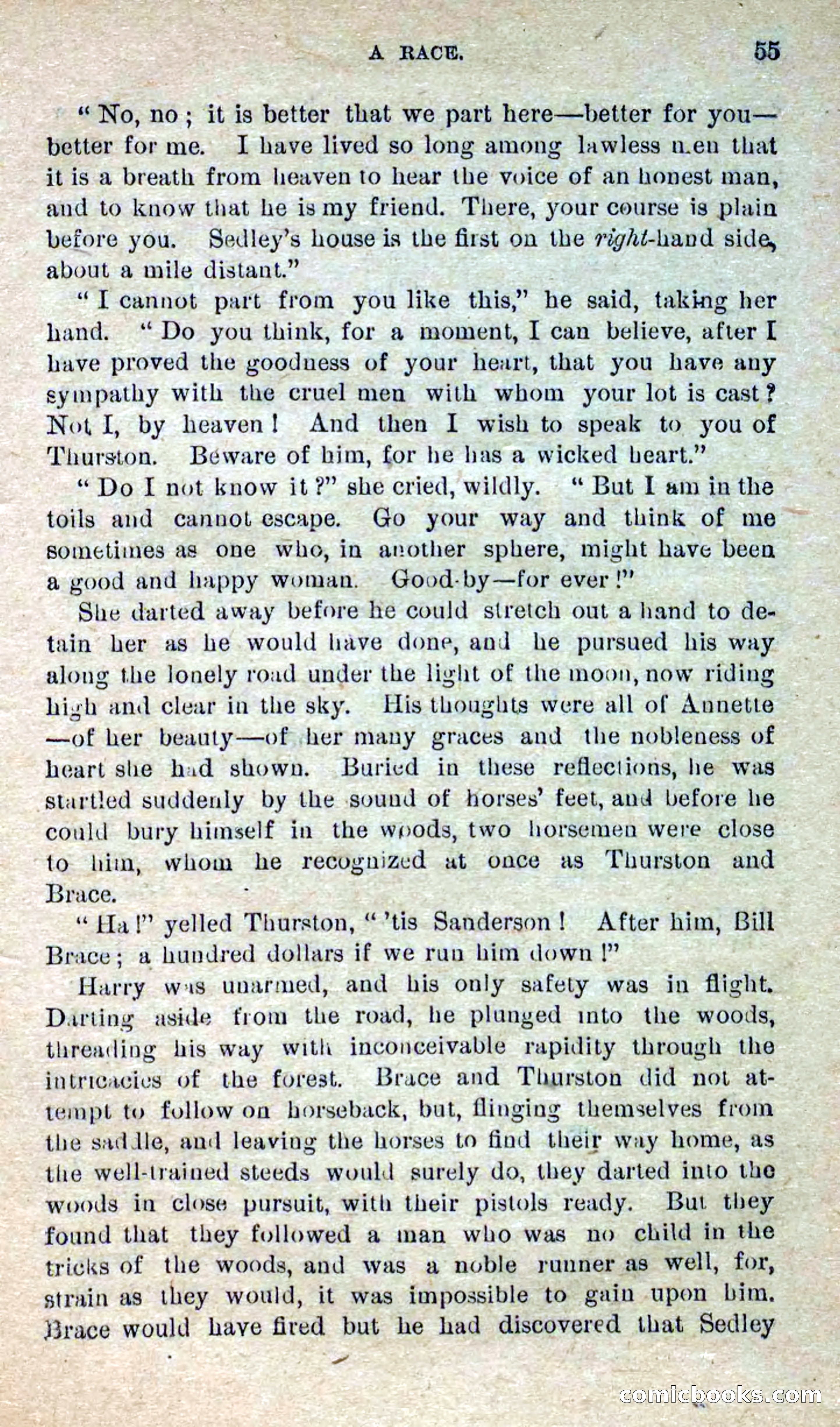 Beadle's Dime Novels No. 280: Border Vengeance — page 53 of 100