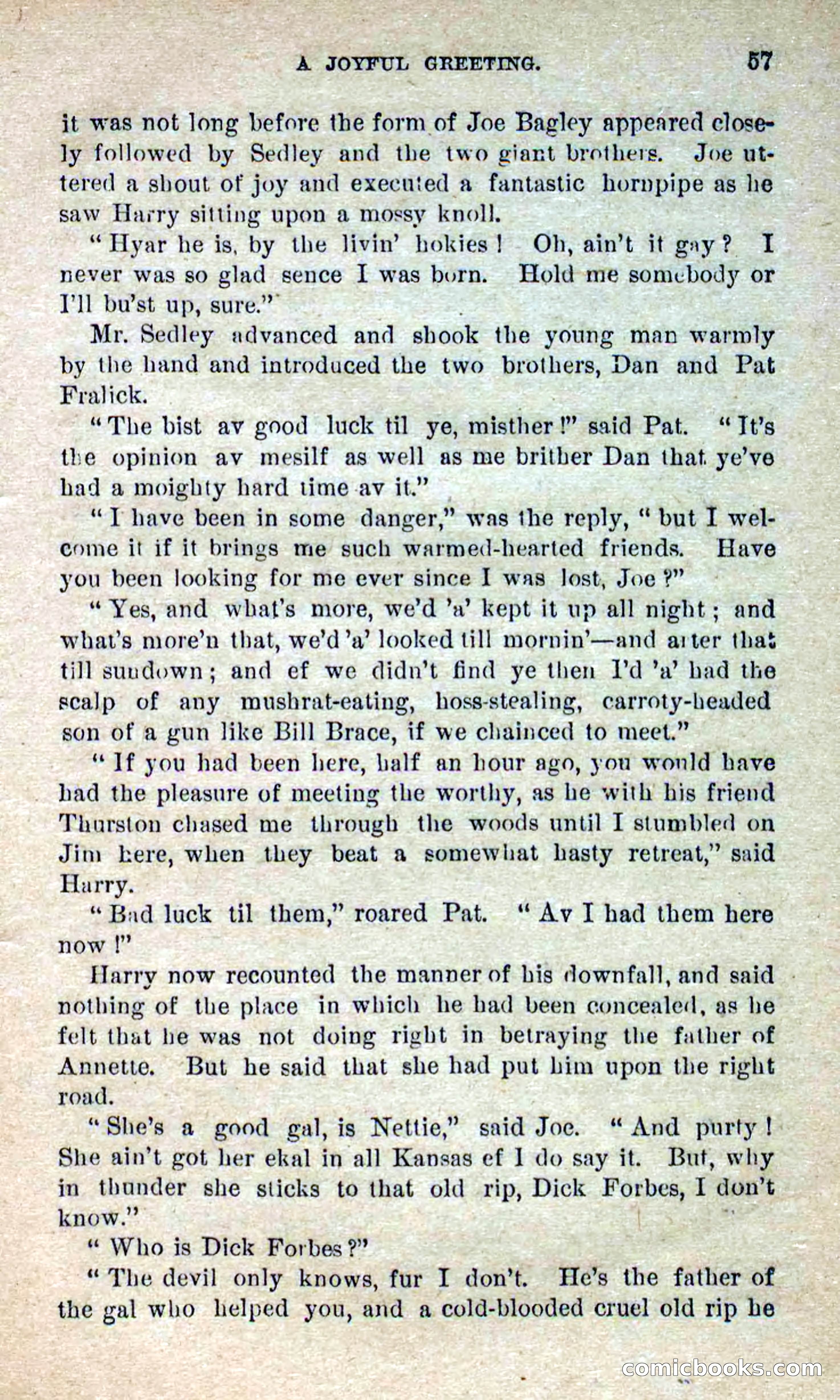 Beadle's Dime Novels No. 280: Border Vengeance — page 55 of 100