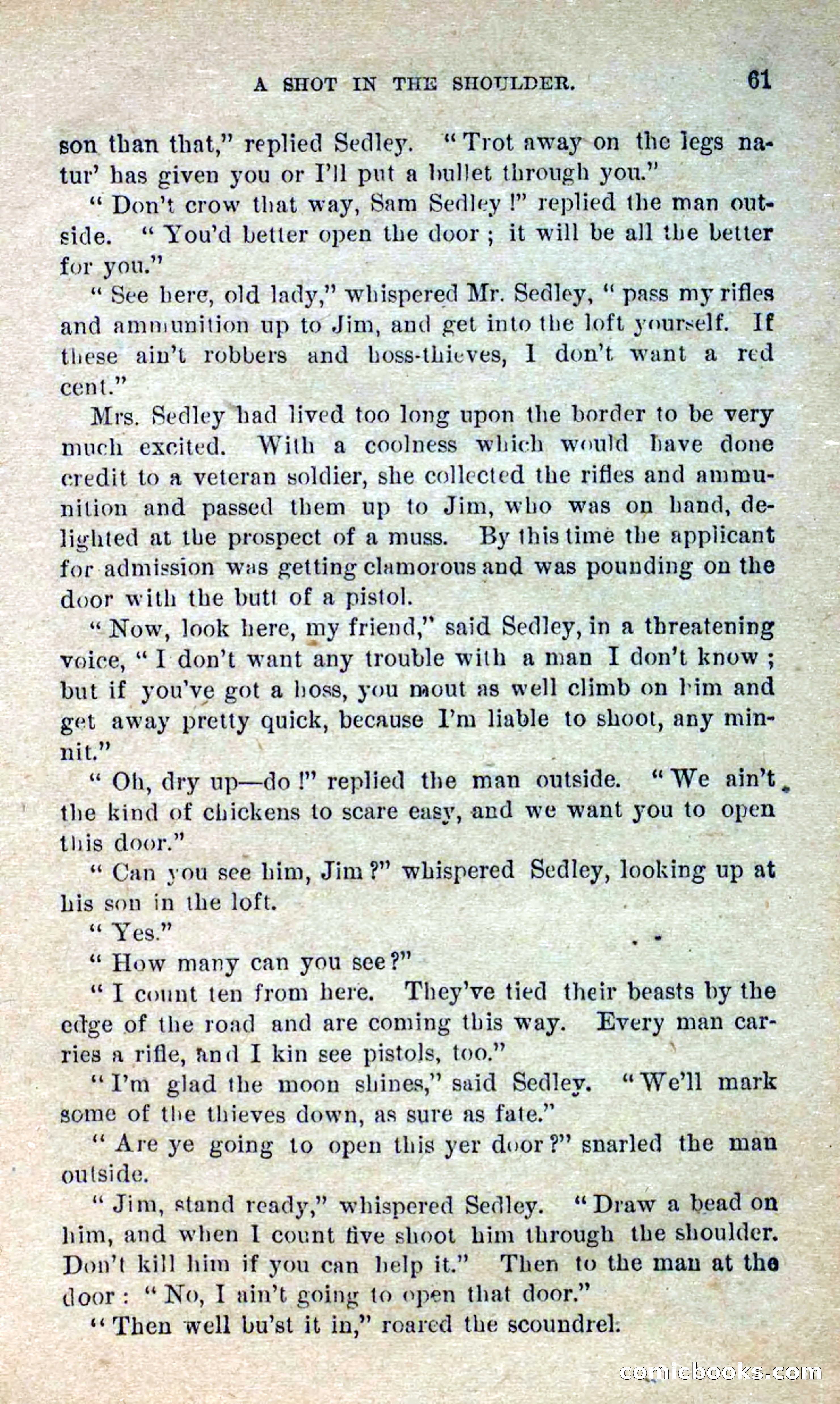 Beadle's Dime Novels No. 280: Border Vengeance — page 59 of 100