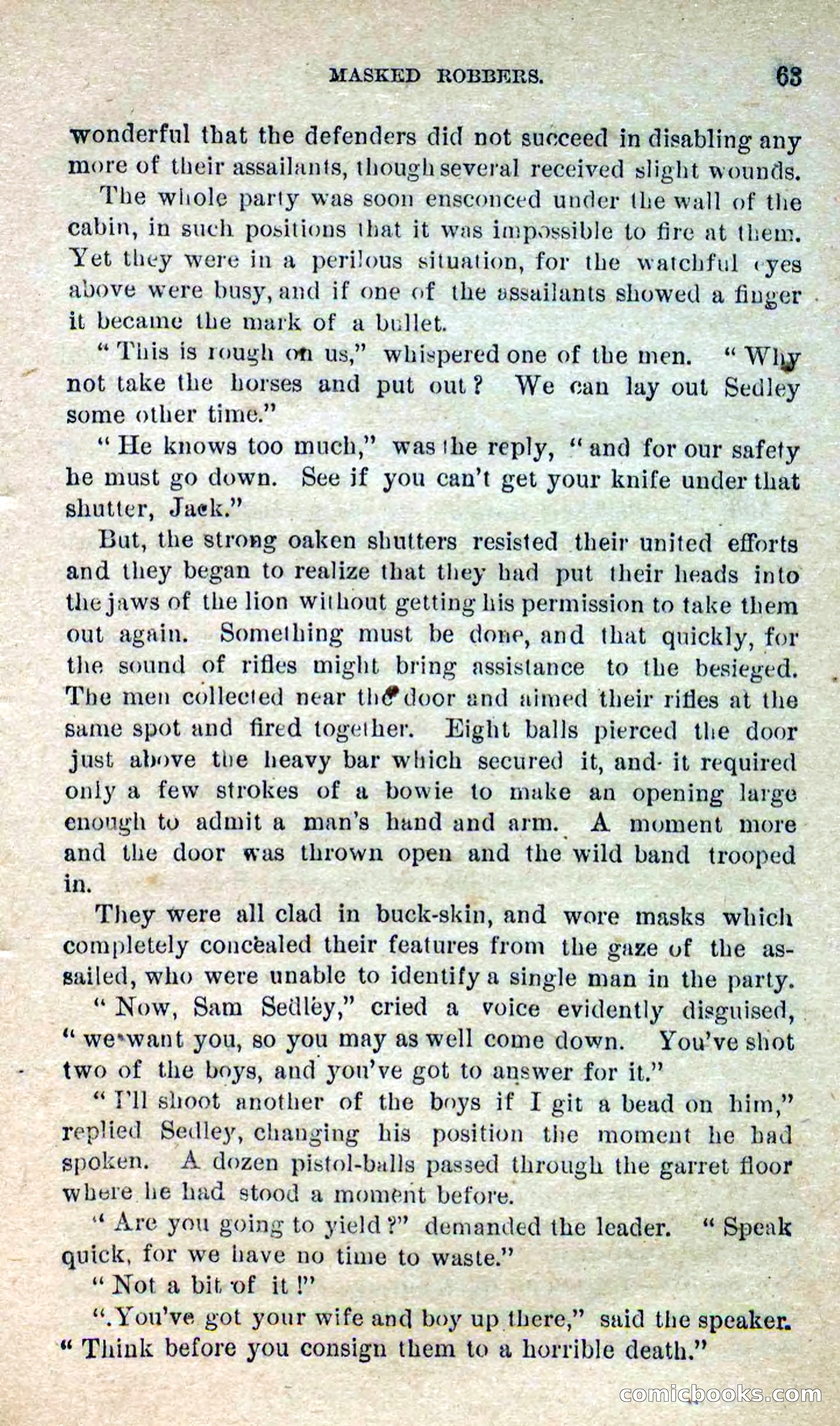 Beadle's Dime Novels No. 280: Border Vengeance — page 61 of 100