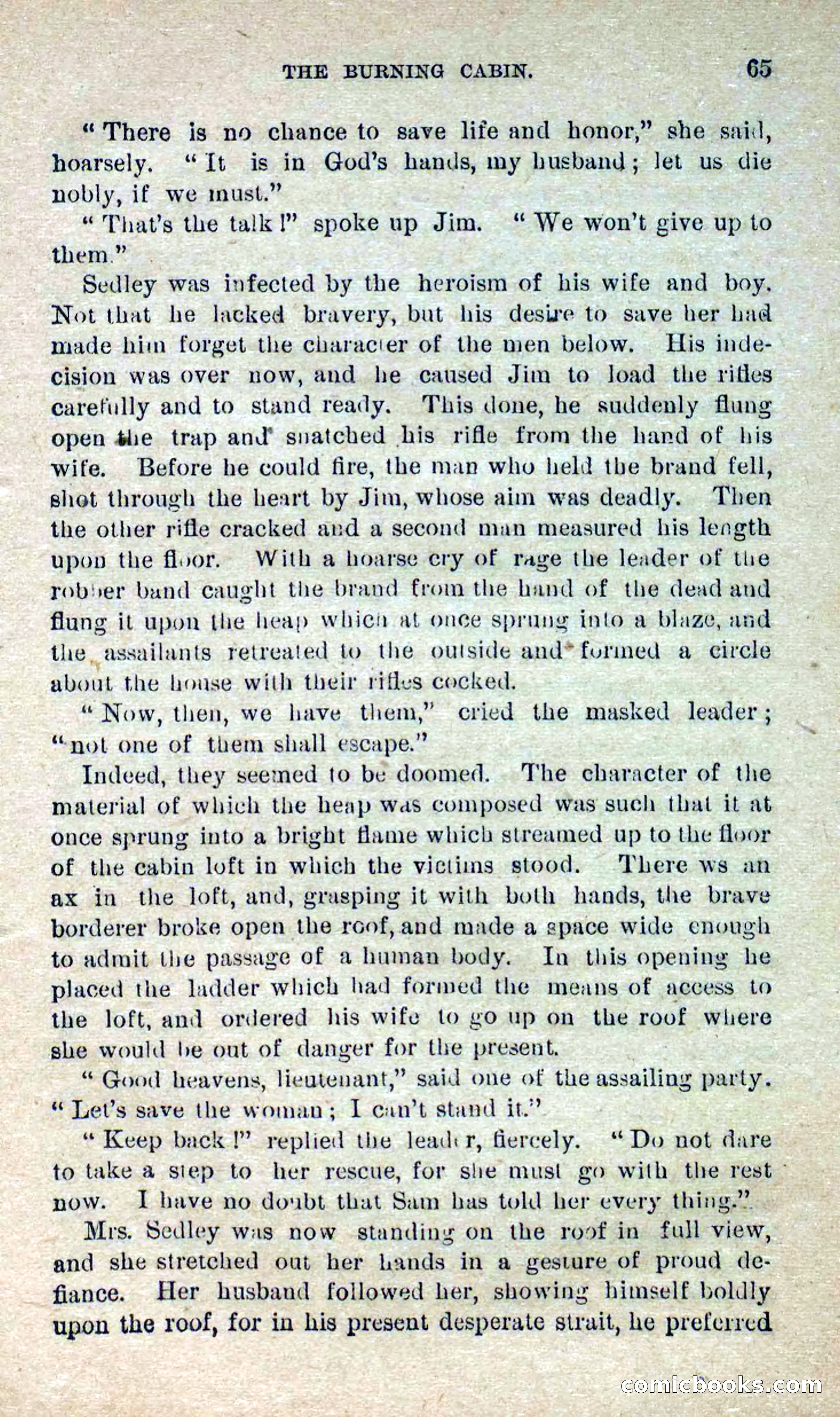 Beadle's Dime Novels No. 280: Border Vengeance — page 63 of 100