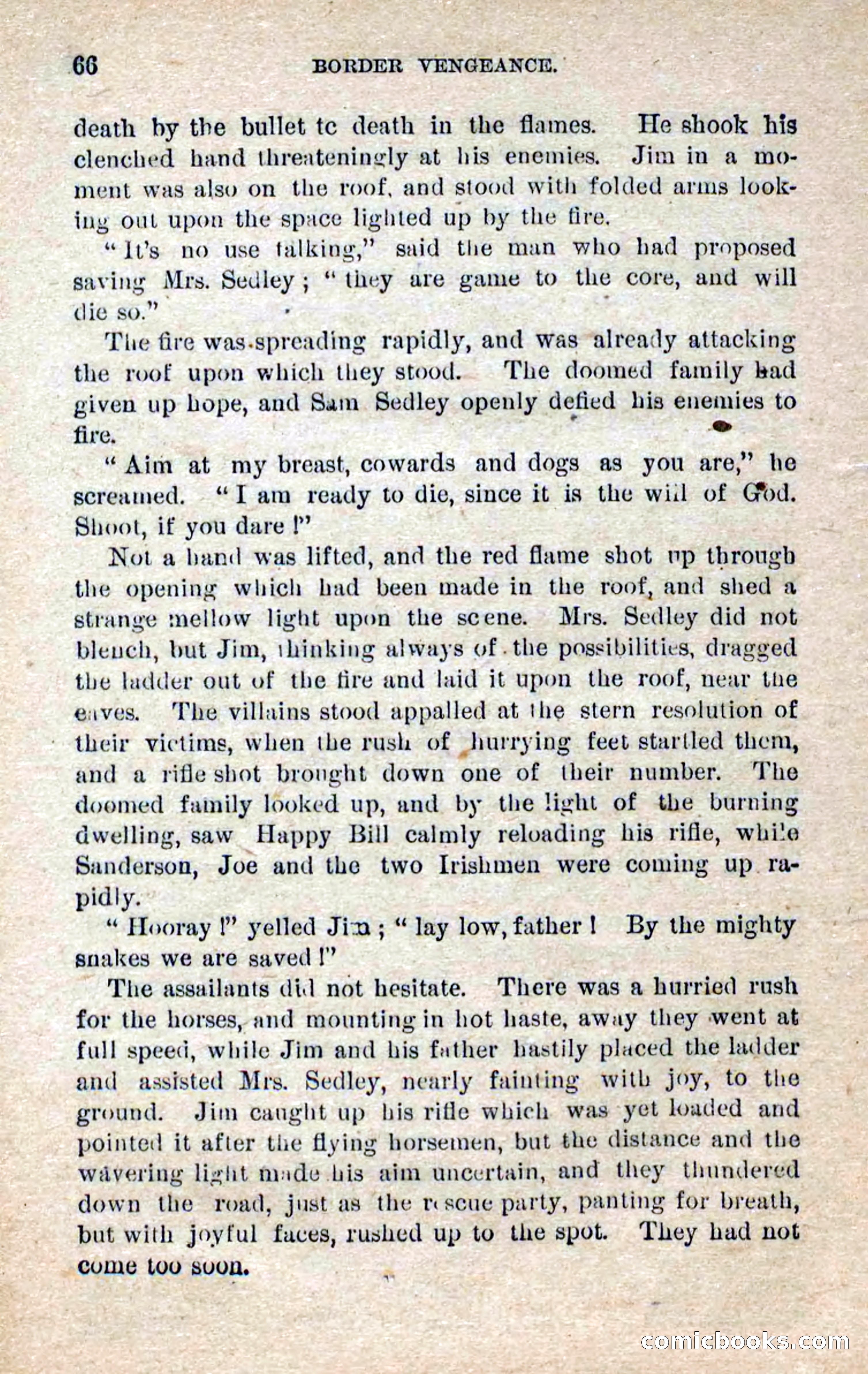 Beadle's Dime Novels No. 280: Border Vengeance — page 64 of 100