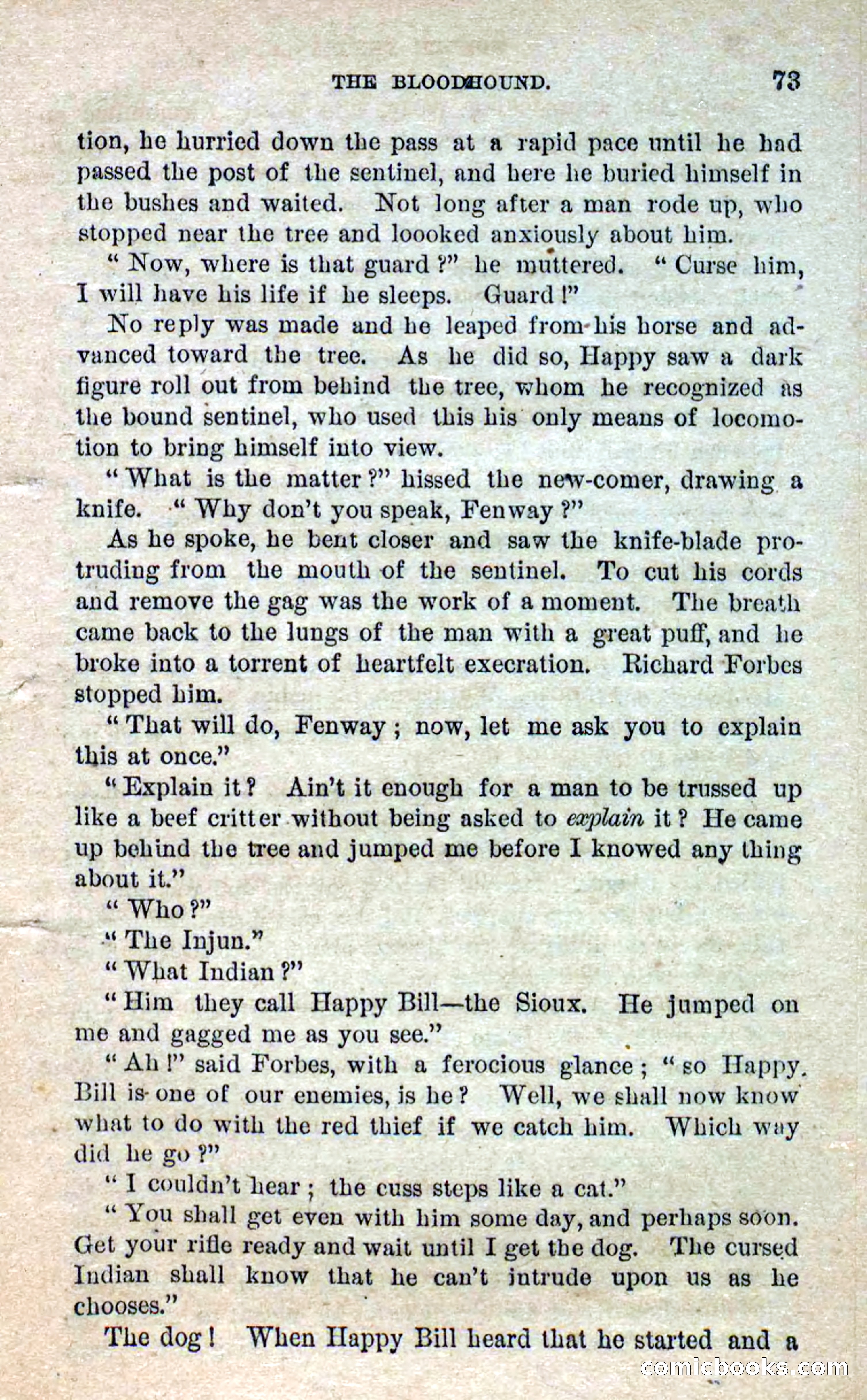 Beadle's Dime Novels No. 280: Border Vengeance — page 71 of 100