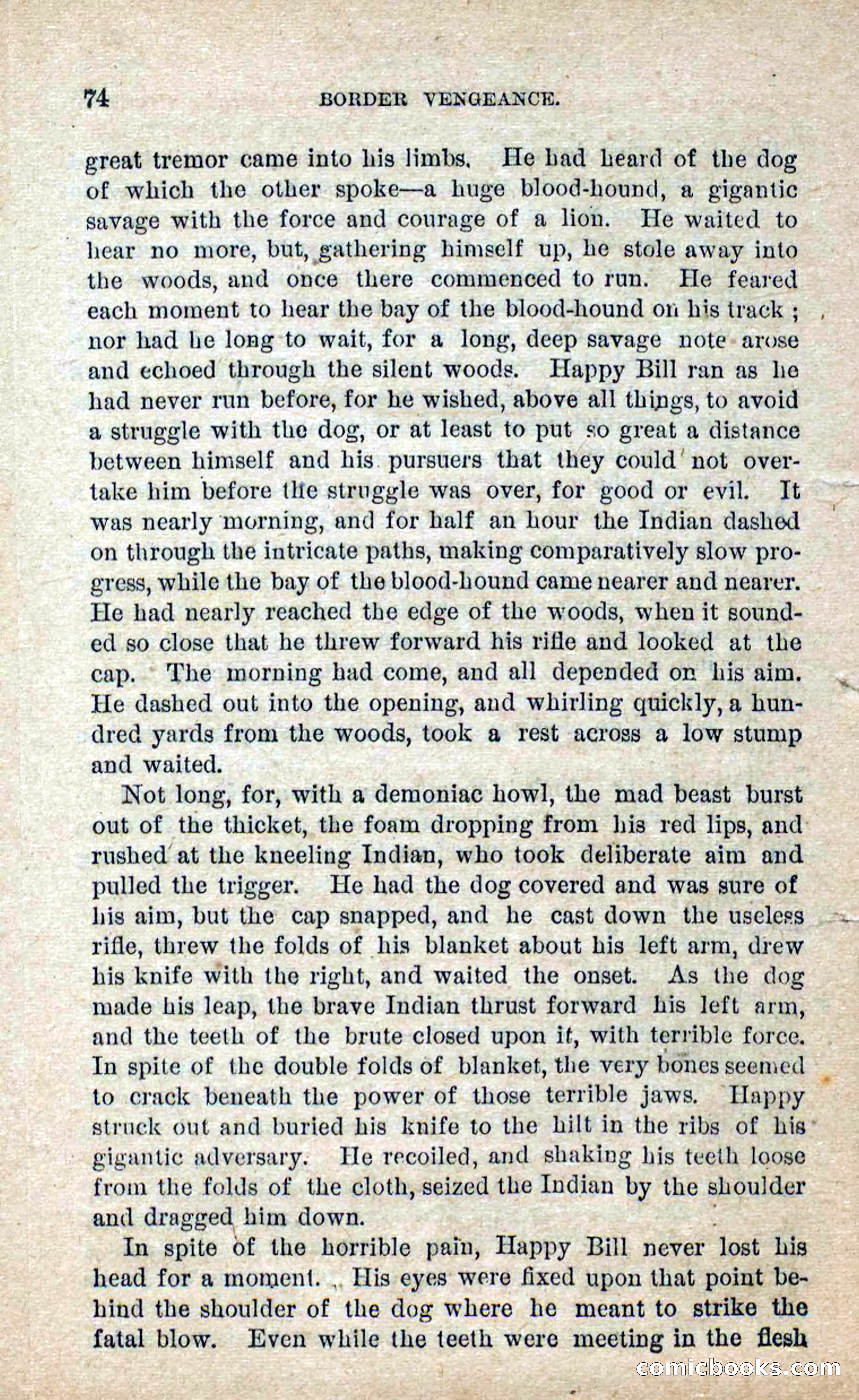 Beadle's Dime Novels No. 280: Border Vengeance — page 72 of 100