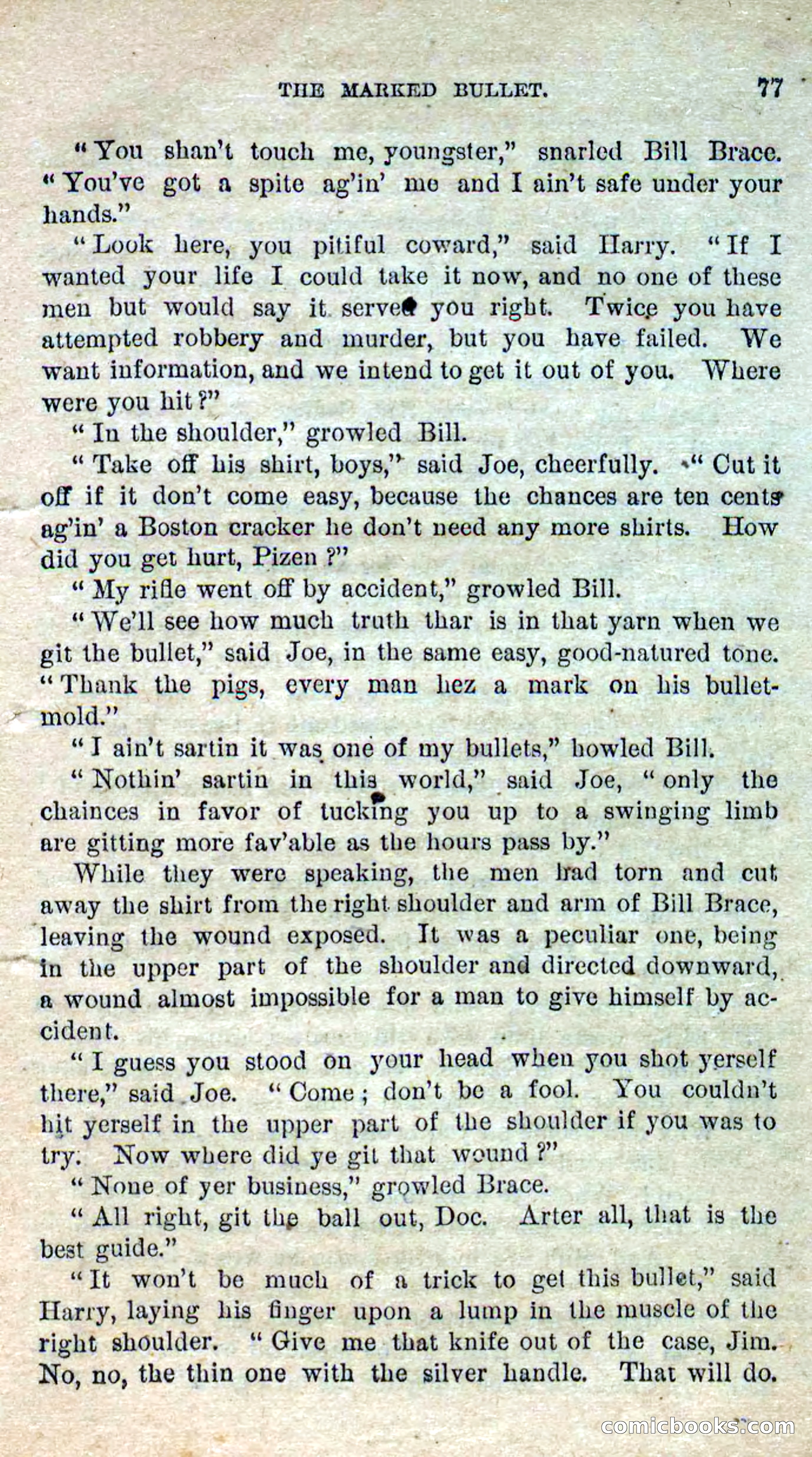 Beadle's Dime Novels No. 280: Border Vengeance — page 75 of 100