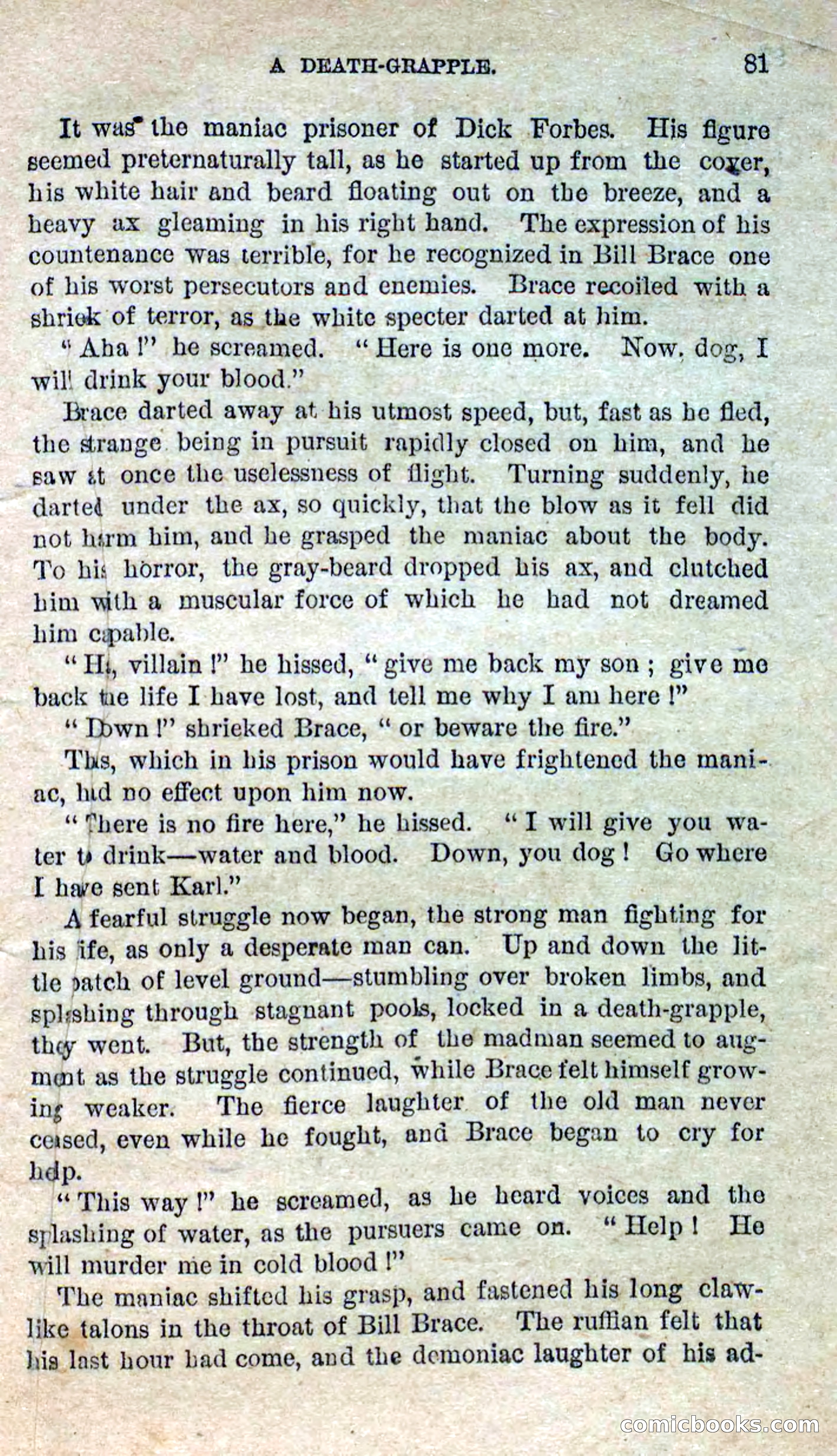 Beadle's Dime Novels No. 280: Border Vengeance — page 79 of 100