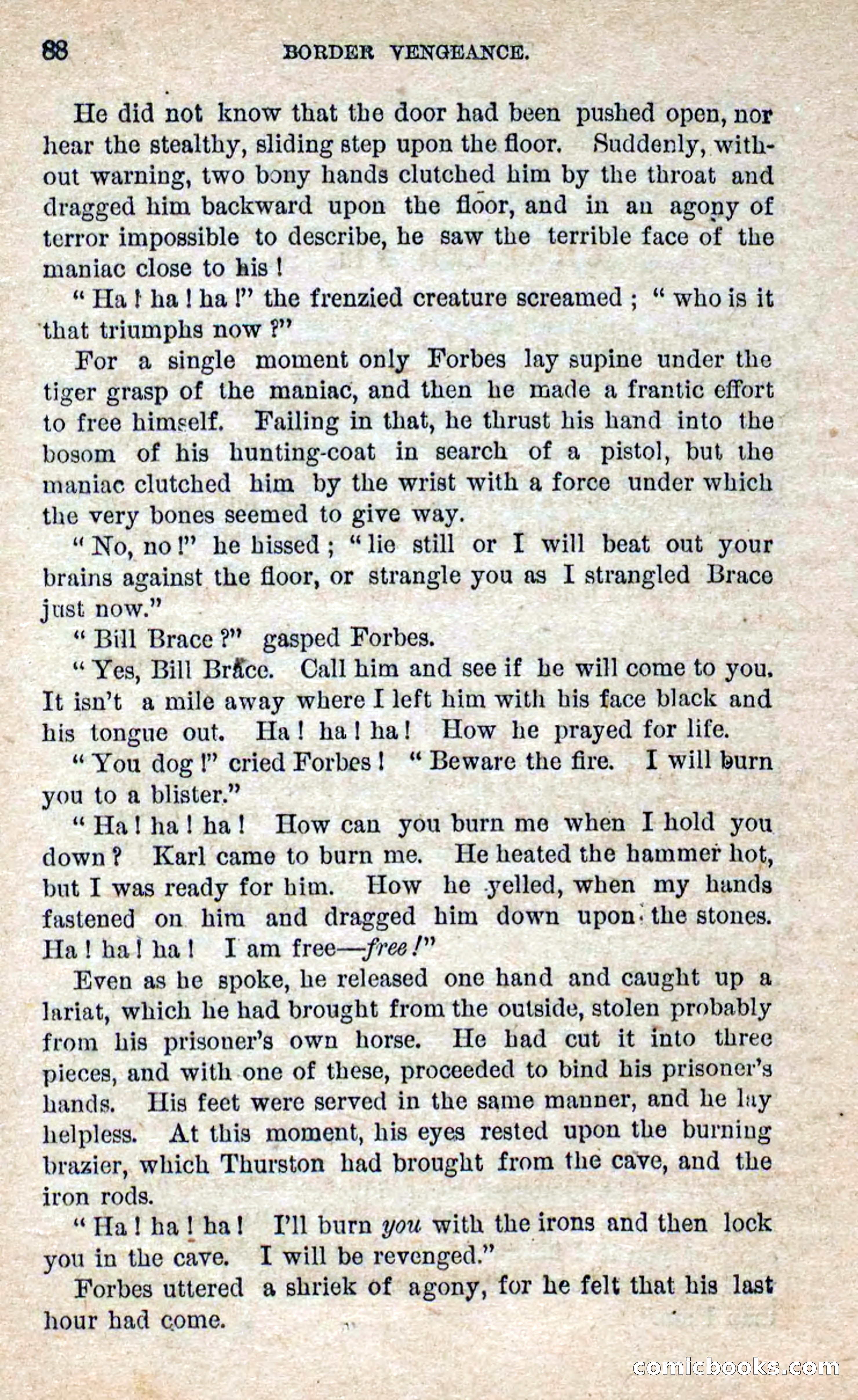 Beadle's Dime Novels No. 280: Border Vengeance — page 86 of 100