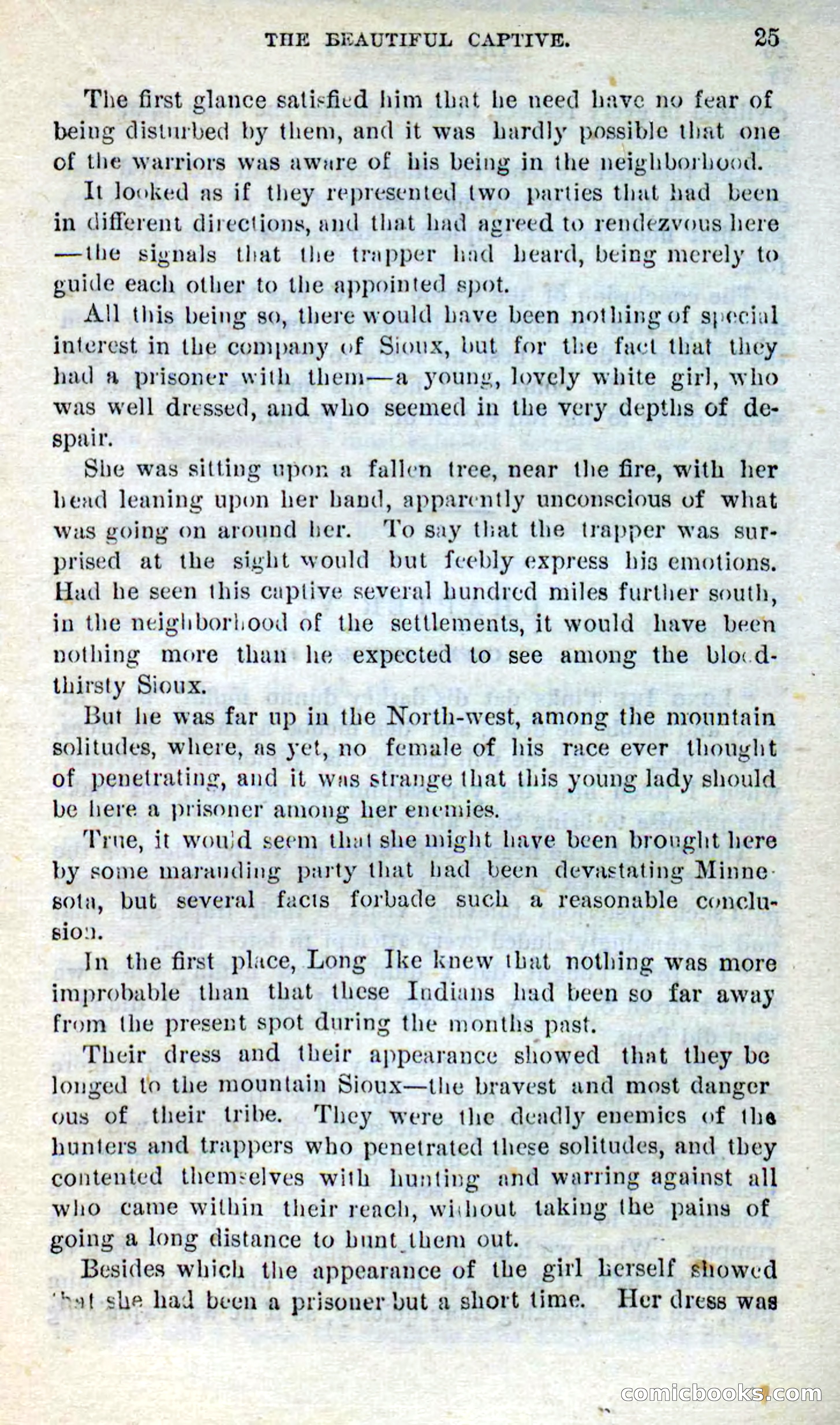 Beadle's Dime Novels No. 281: The Black Spy — page 21 of 100