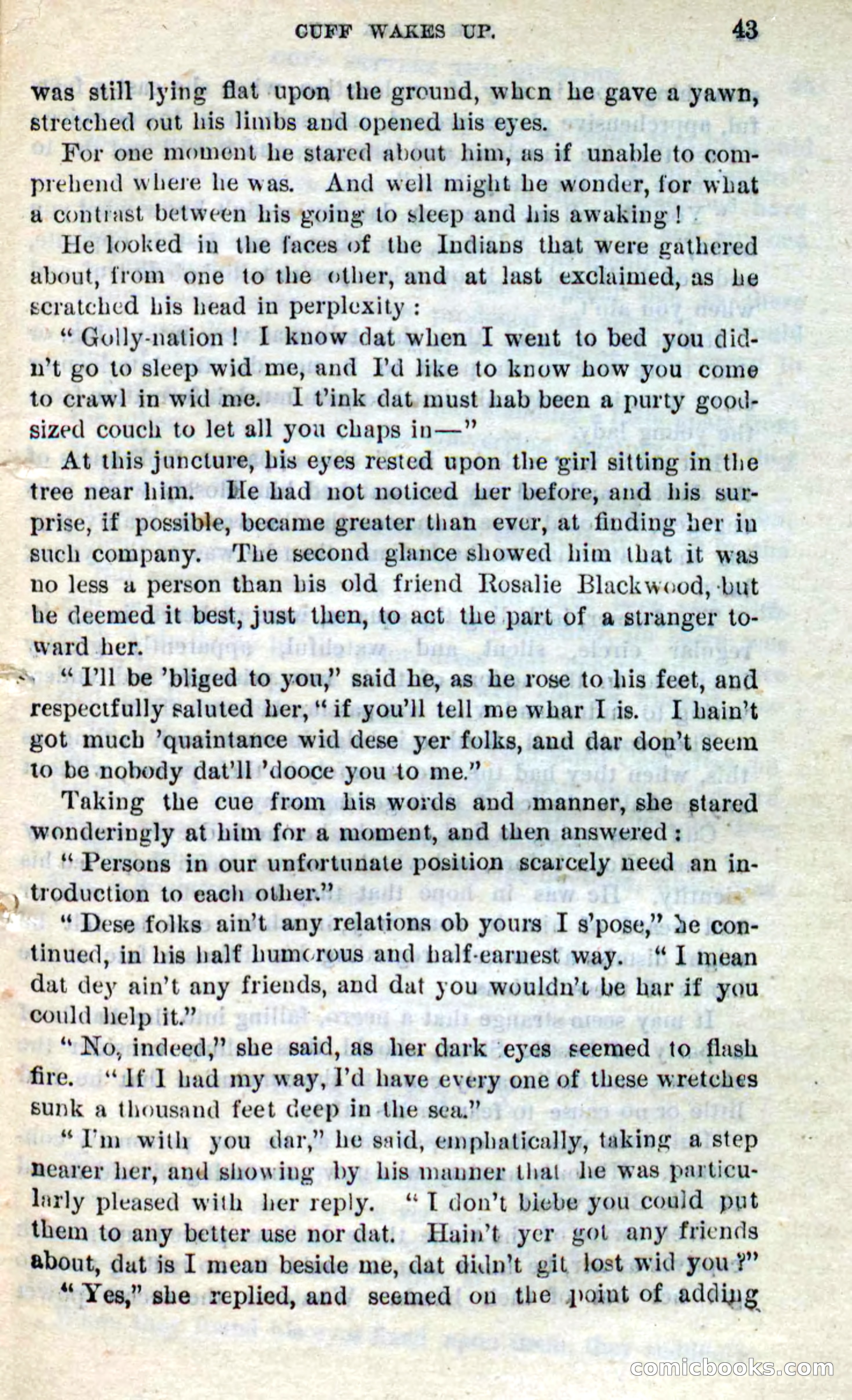 Beadle's Dime Novels No. 281: The Black Spy — page 39 of 100