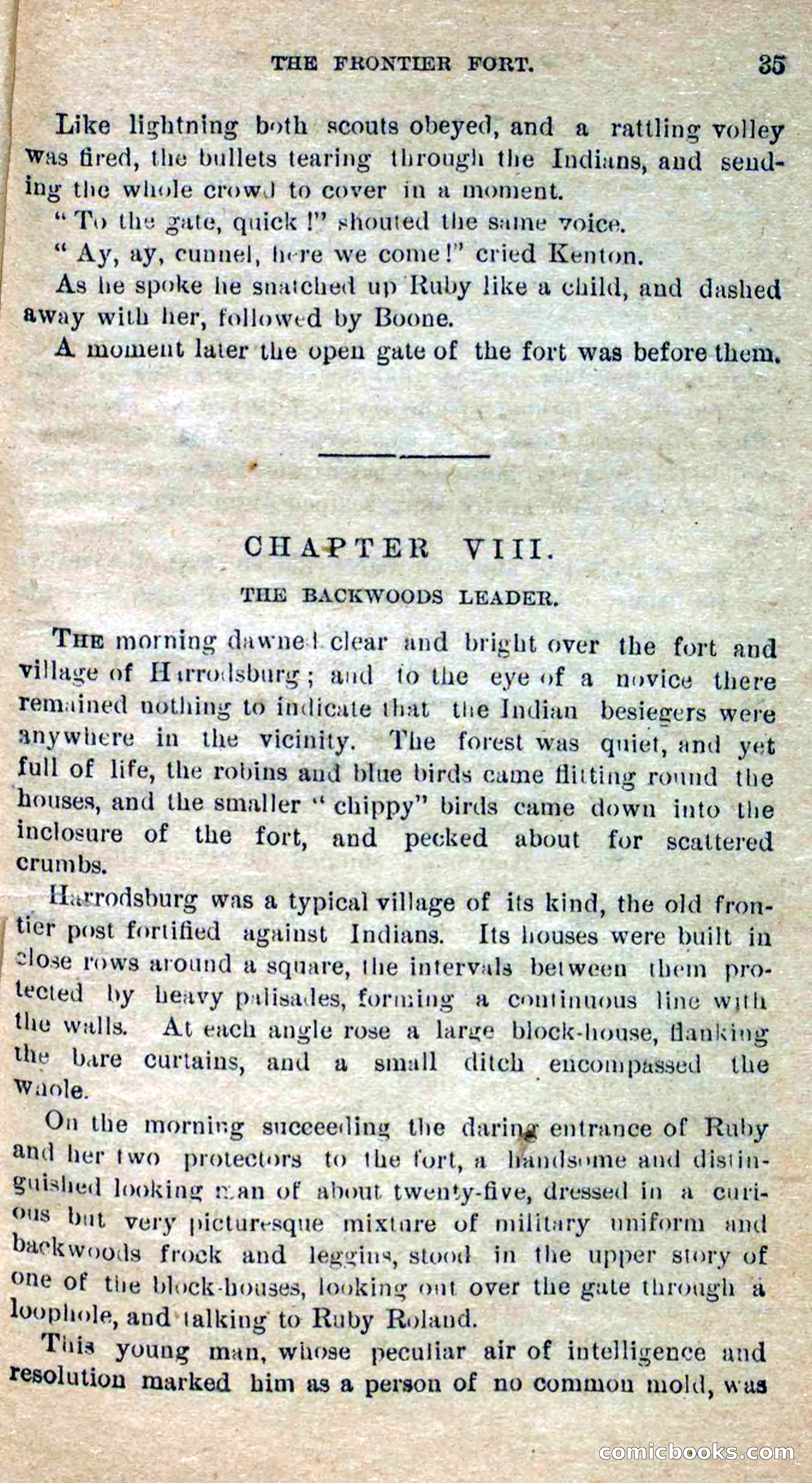 Beadle's Dime Novels No. 277: Ruby Roland, the Girl Spy — page 31 of 100