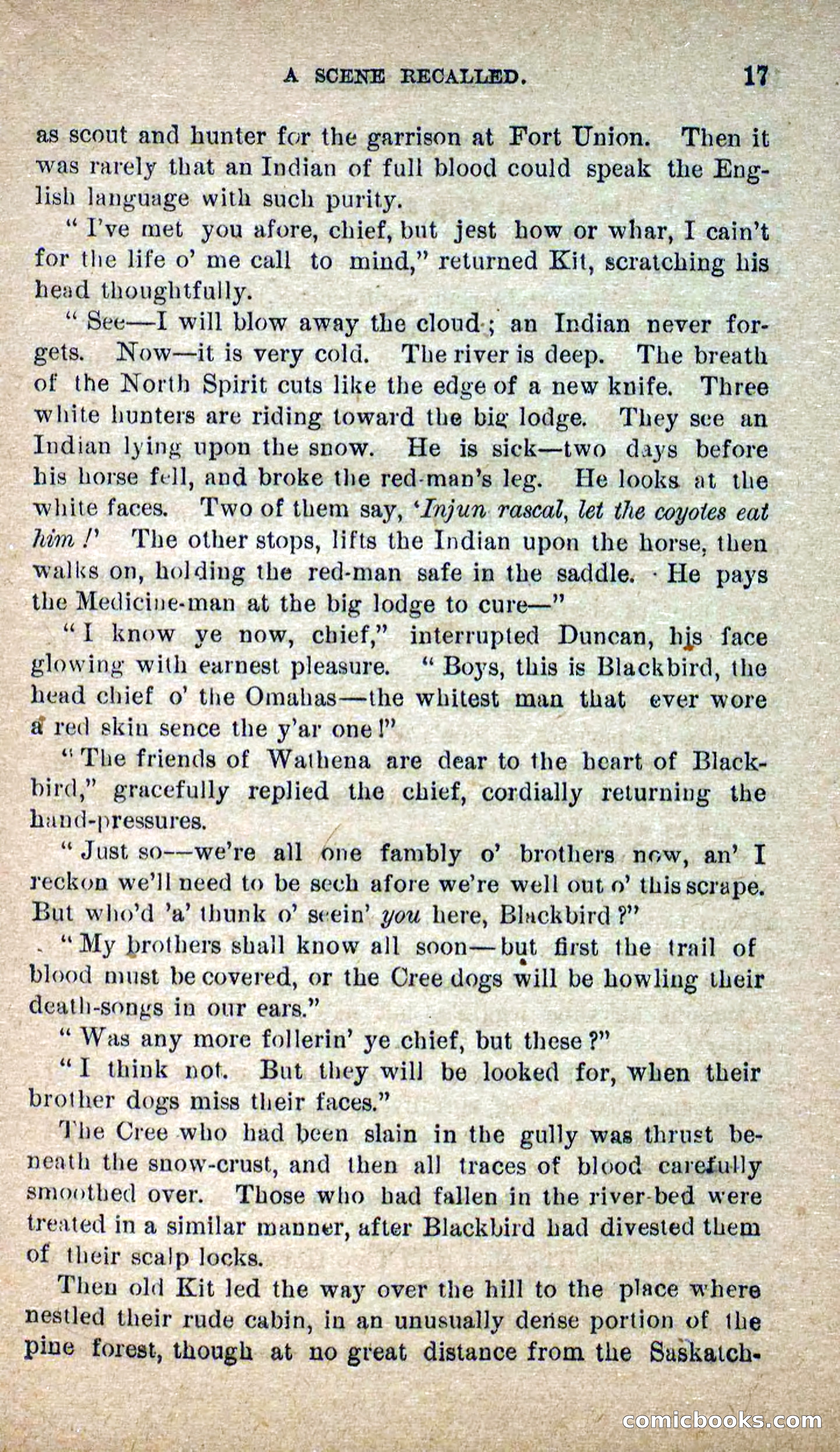 The Lone Chief — page 13 of 100