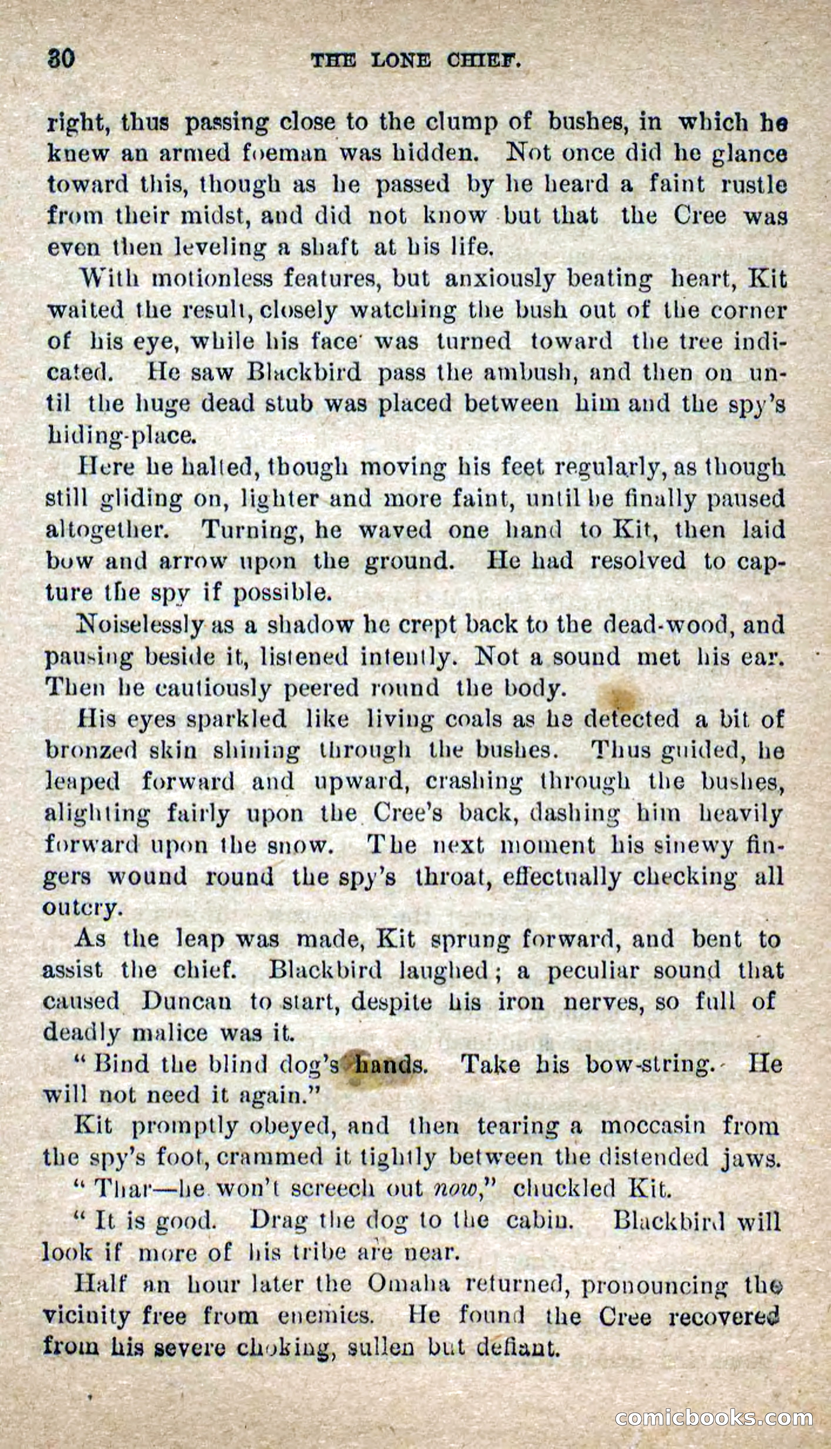 The Lone Chief — page 26 of 100