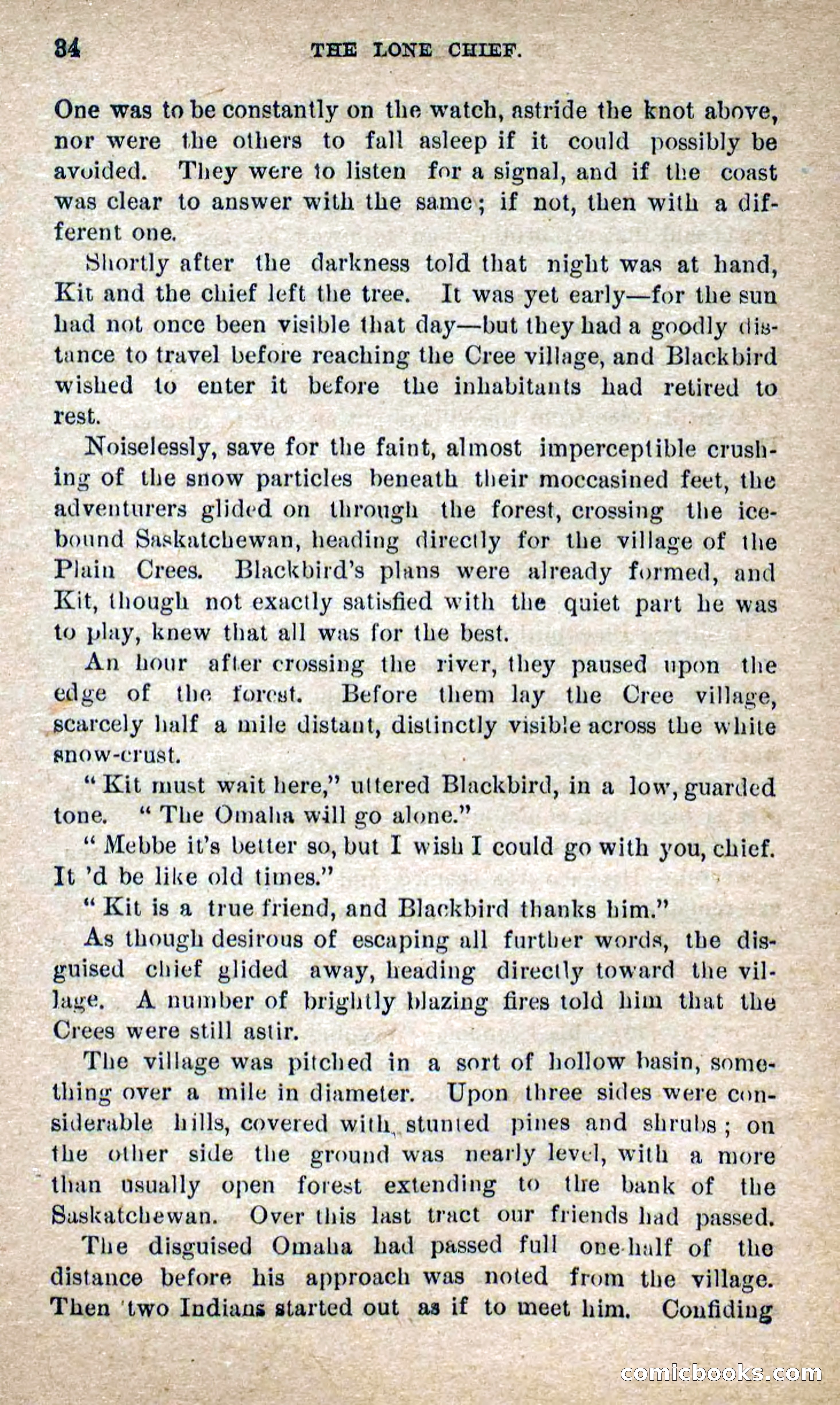 The Lone Chief — page 30 of 100