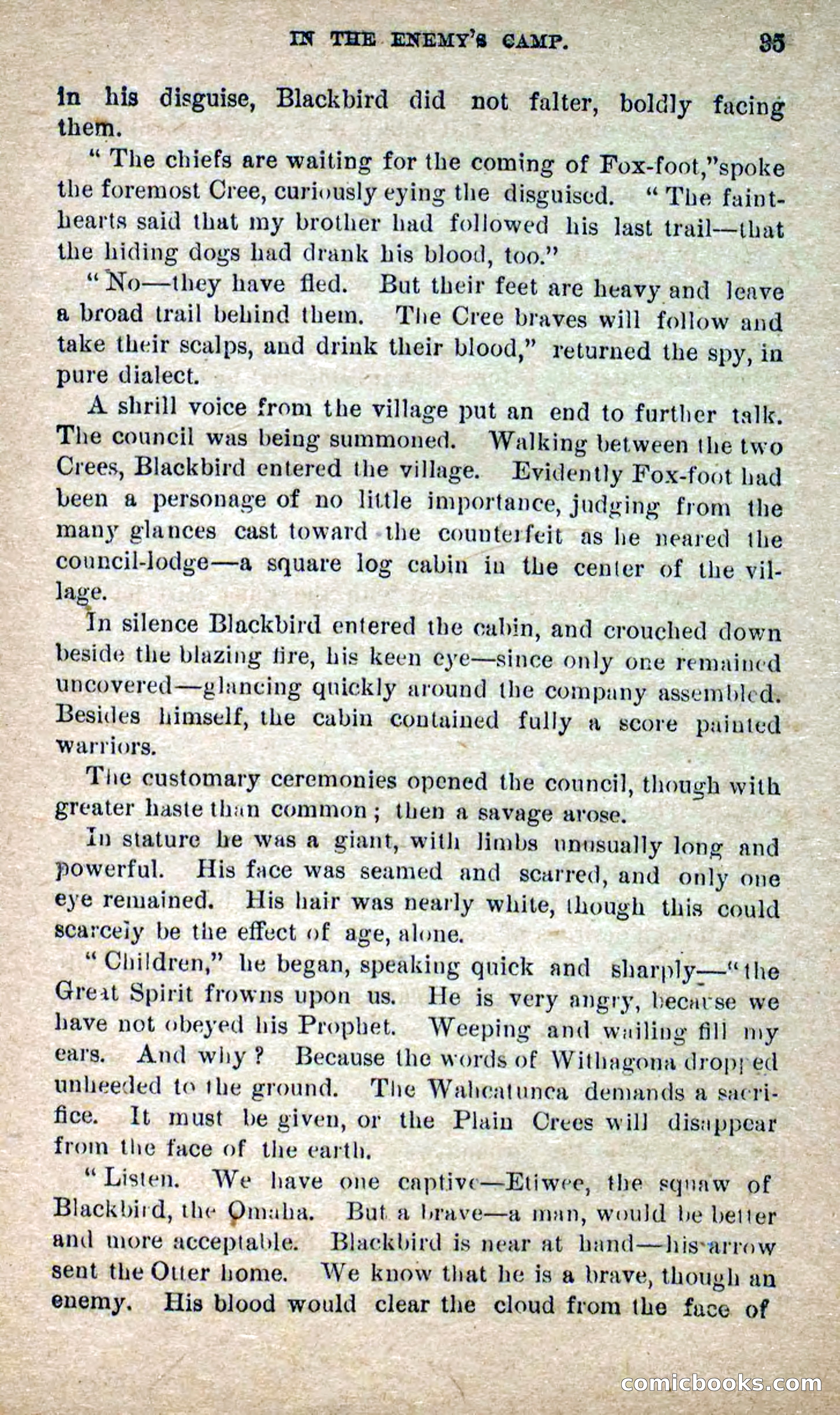 The Lone Chief — page 31 of 100