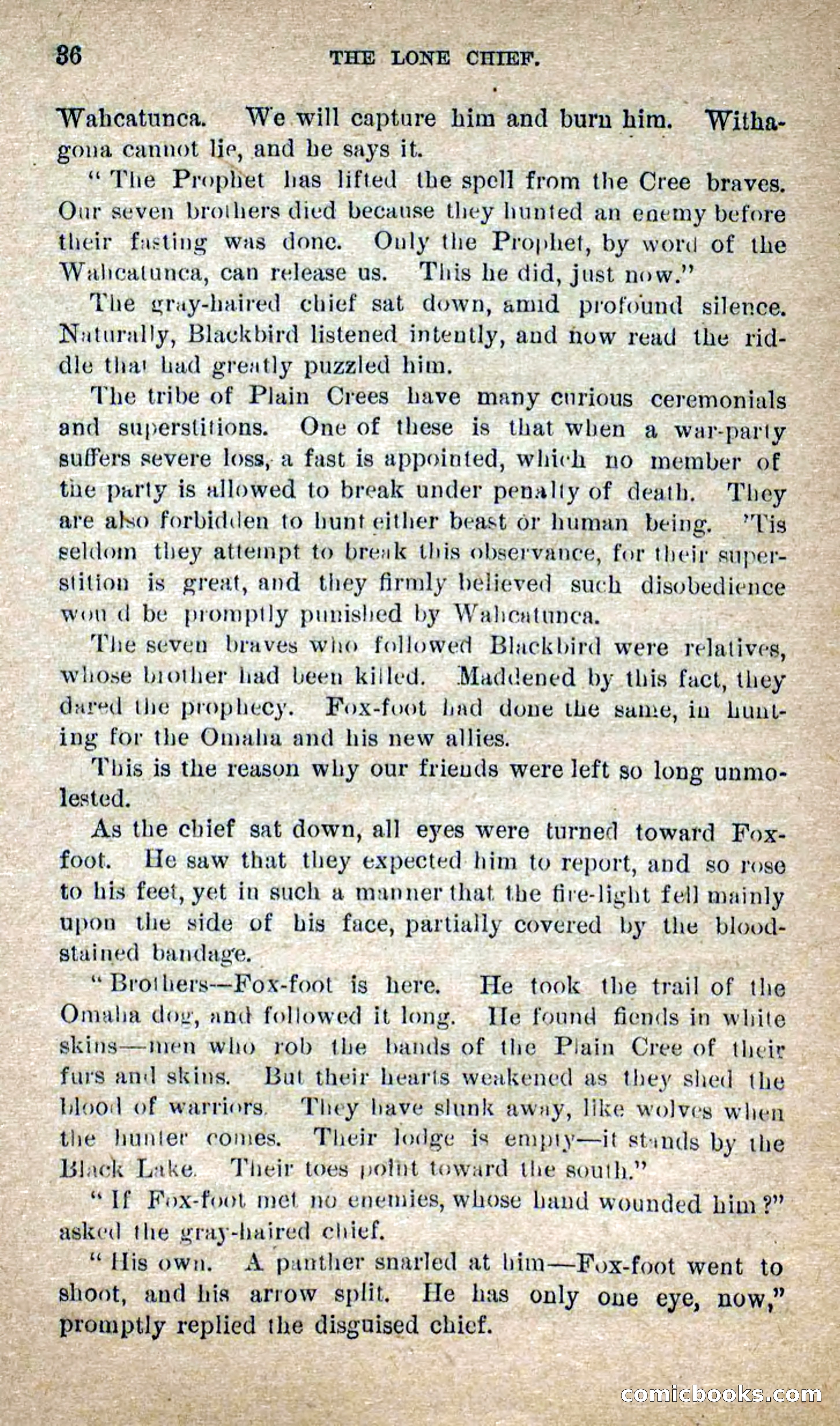The Lone Chief — page 32 of 100