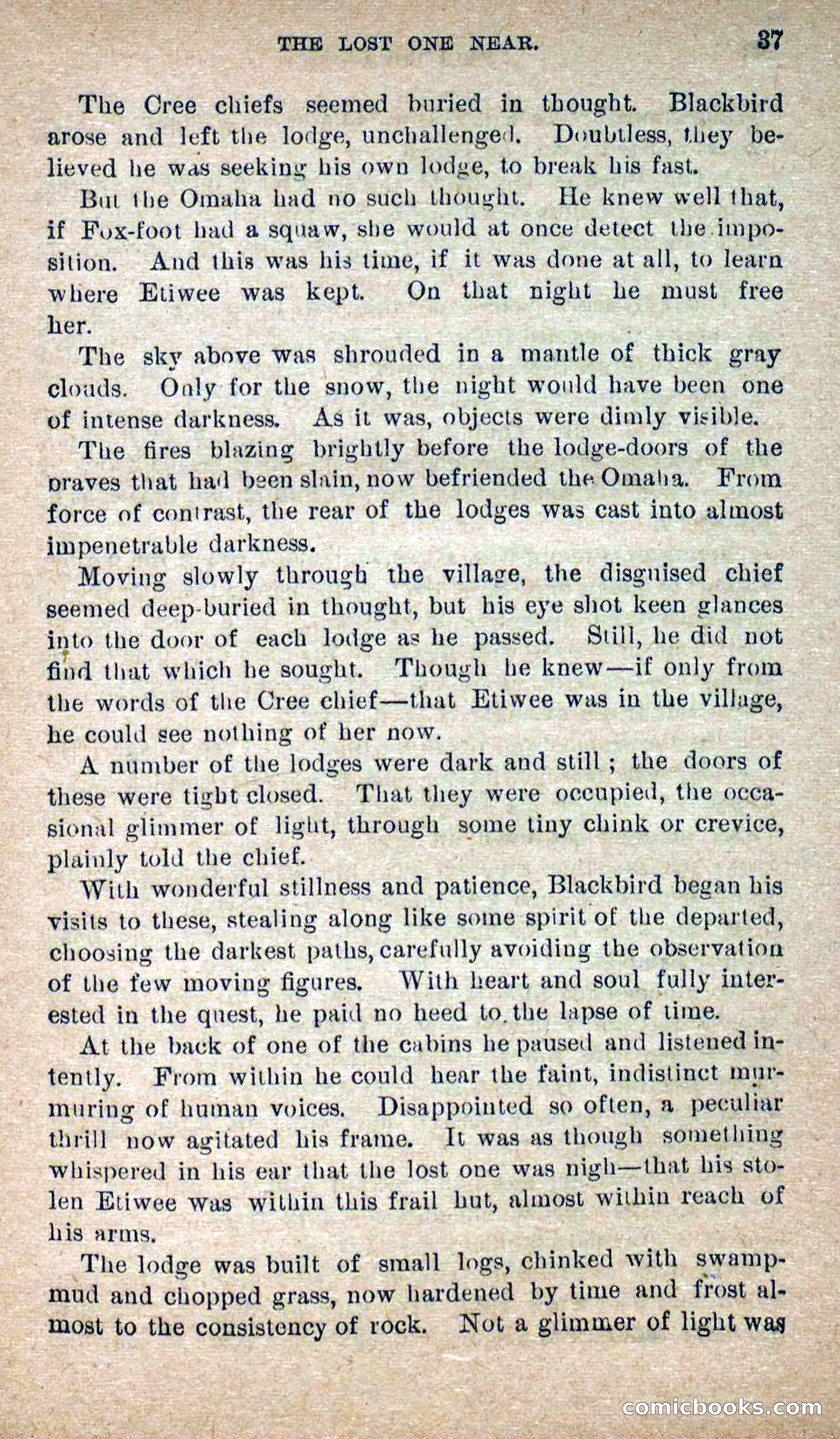 The Lone Chief — page 33 of 100