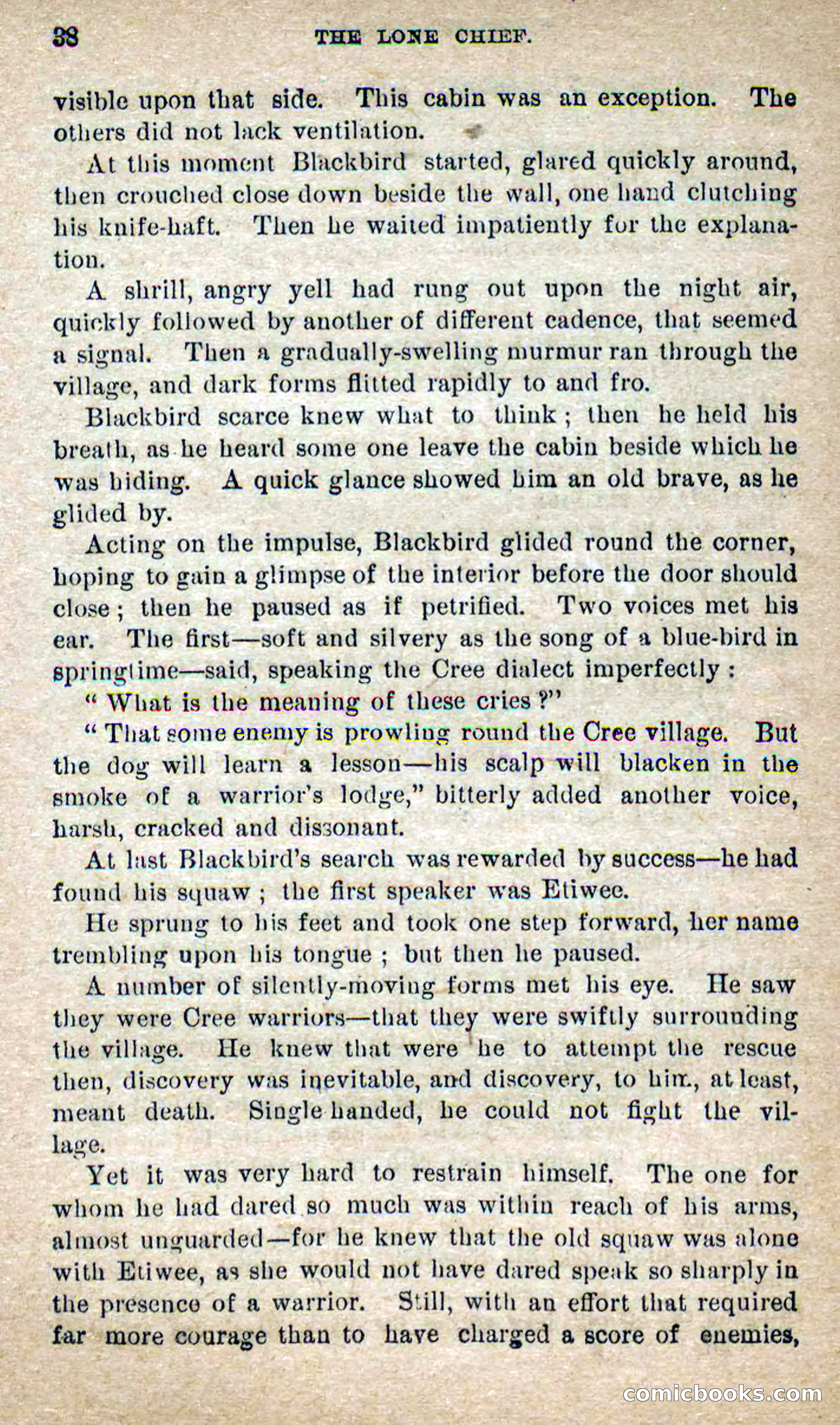 The Lone Chief — page 34 of 100