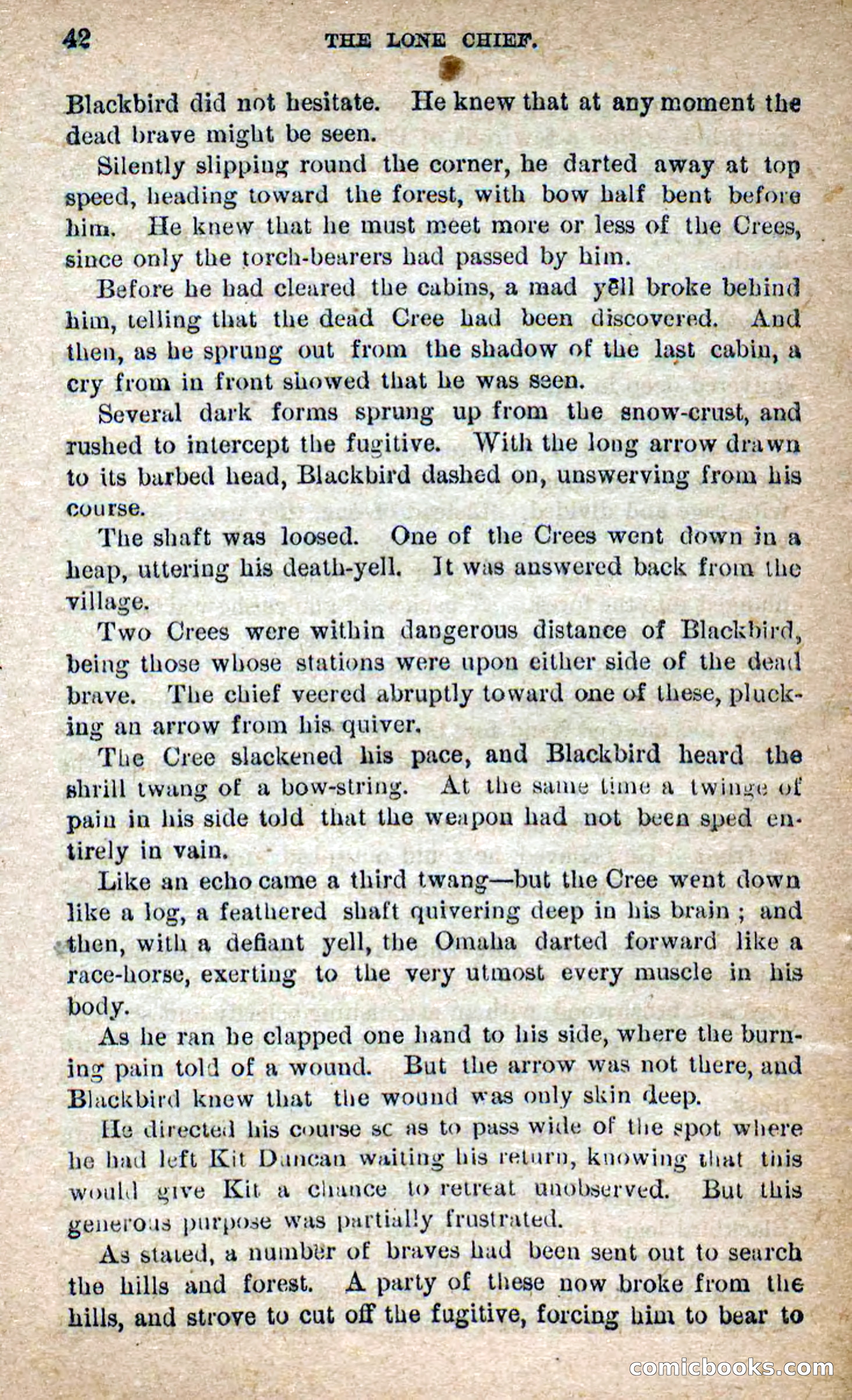 The Lone Chief — page 38 of 100